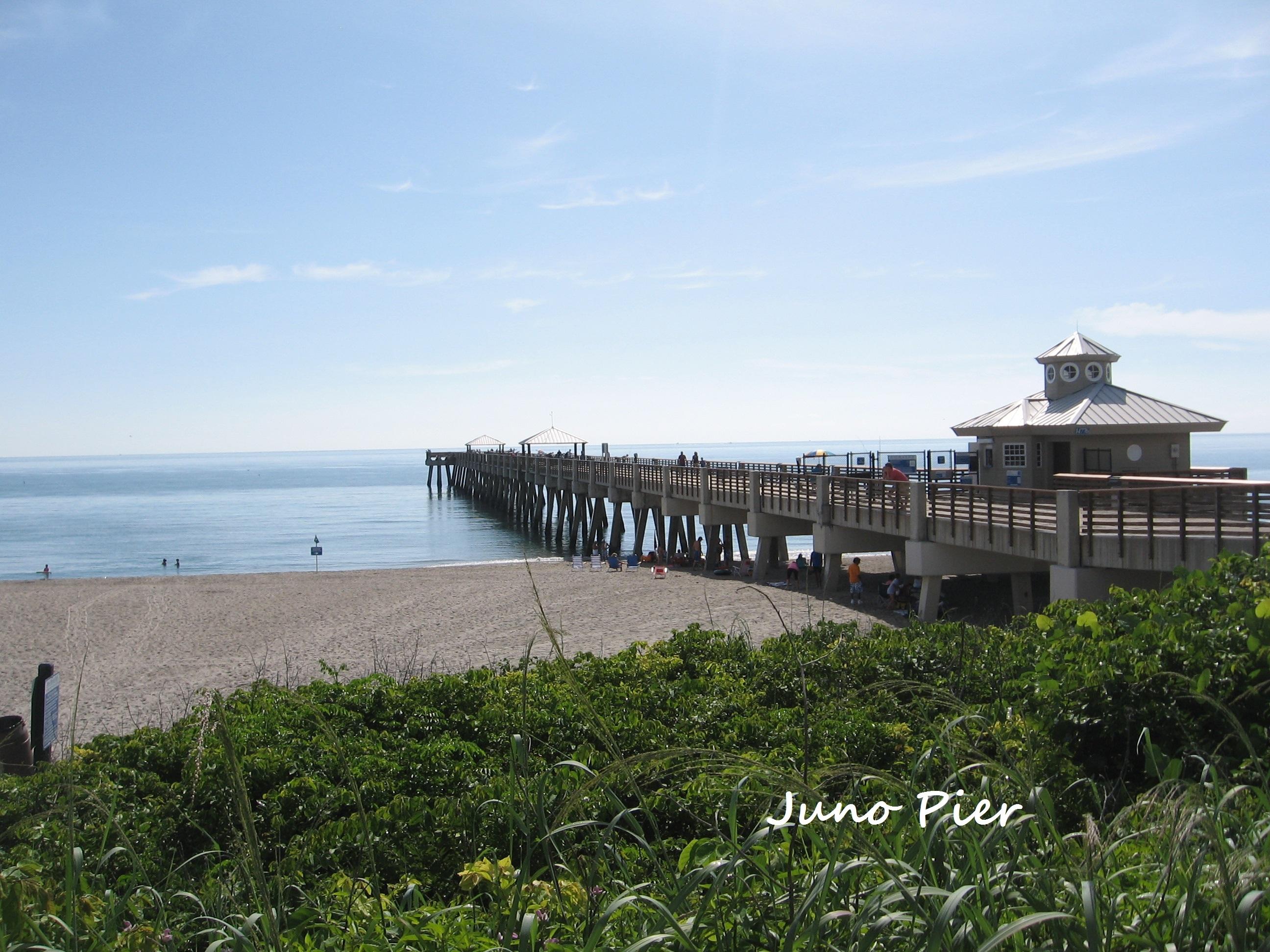 4917 Bimini Road Tequesta, FL 33469 - Photo 45 of 53 Juno Pier