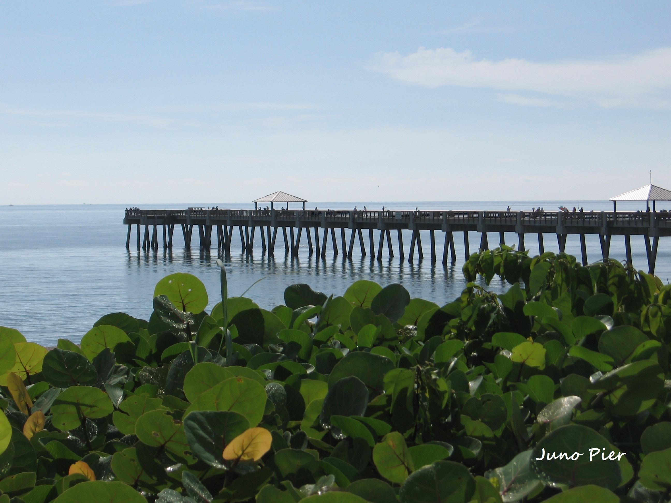 4917 Bimini Road Tequesta, FL 33469 - Photo 47 of 53 Juno Pier