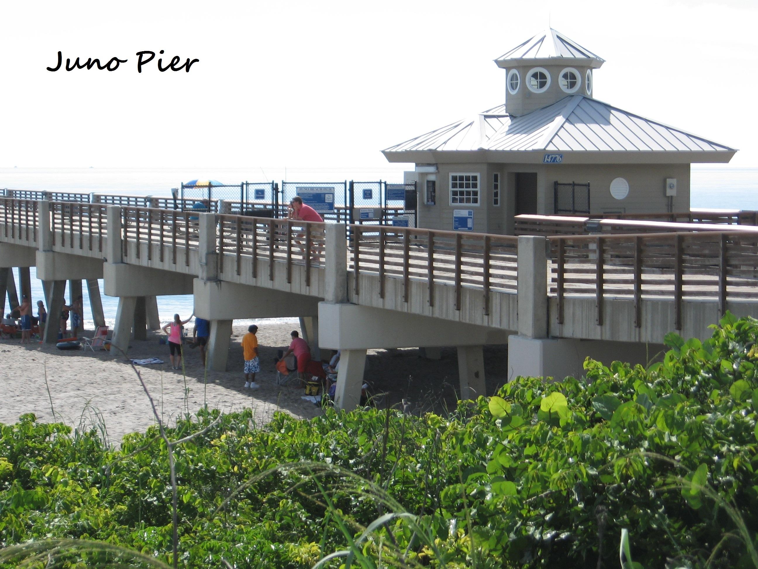 4917 Bimini Road Tequesta, FL 33469 - Photo 48 of 53 Juno Pier Fishing