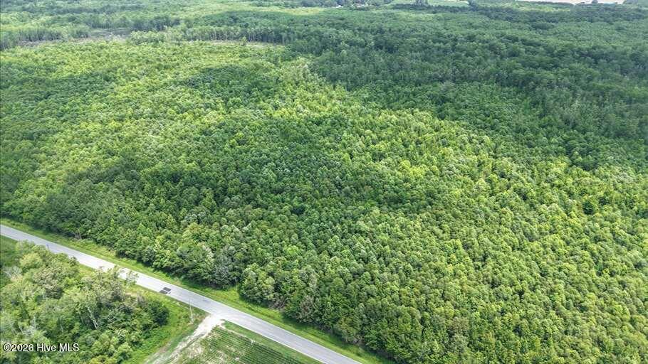 0 North River Road Camden, NC 27921 - Photo 5 of 50