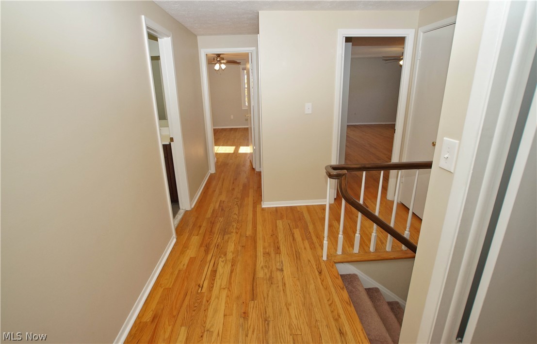 4644 West Farnhurst Road Cleveland, OH 44121 - Photo 15 of 31