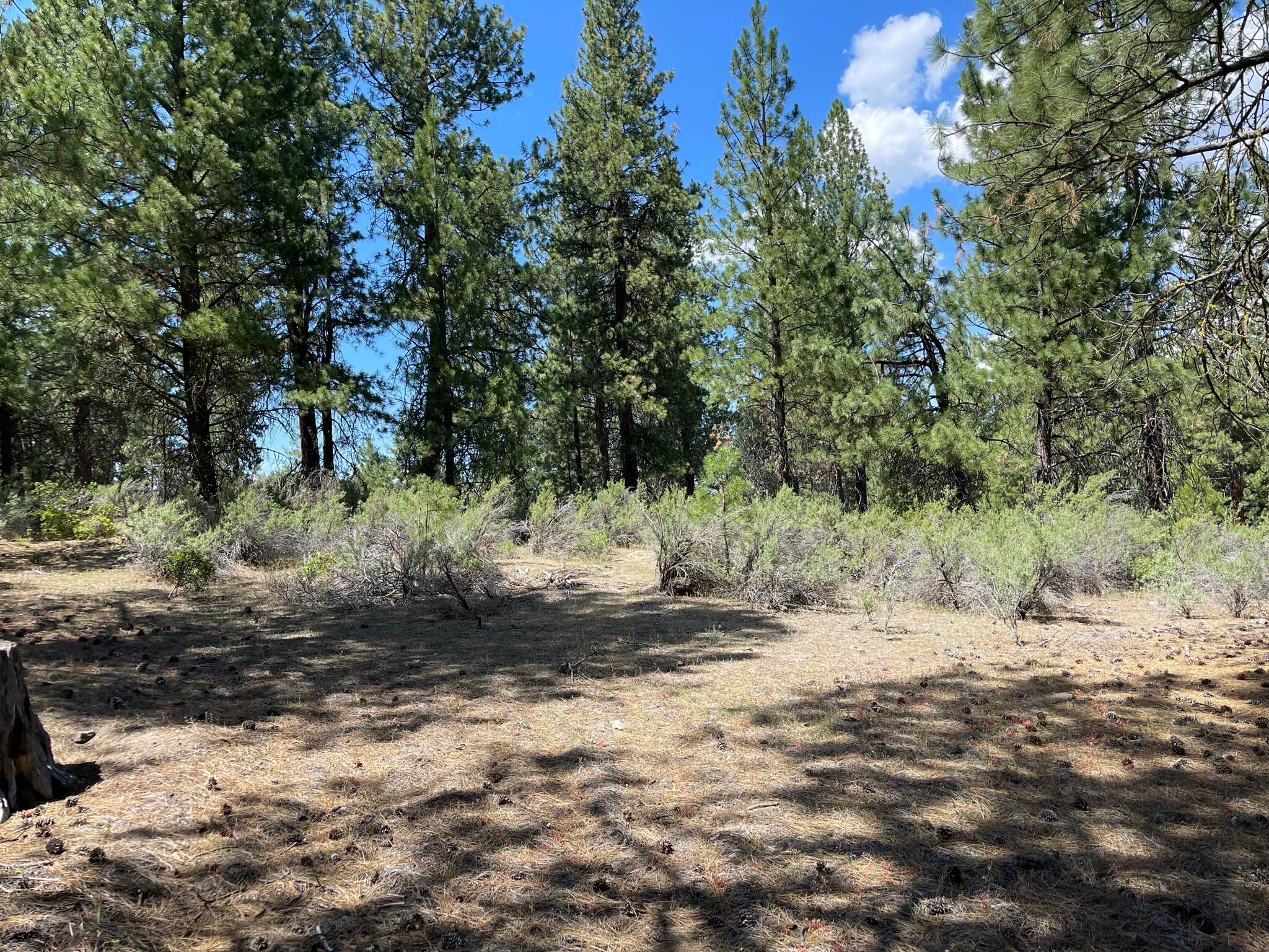 South Waterview Way Chiloquin, OR 97624 - Photo 6 of 15 IMG_4041