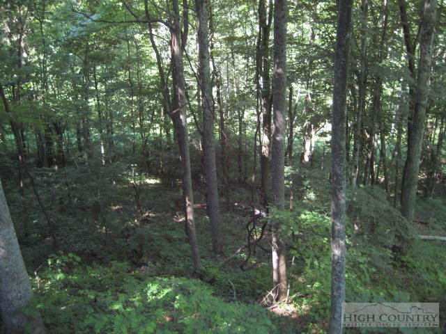 660 Holloway Mtn Road Boone, NC 28607 - Photo 3 of 12 Gallery Image 3