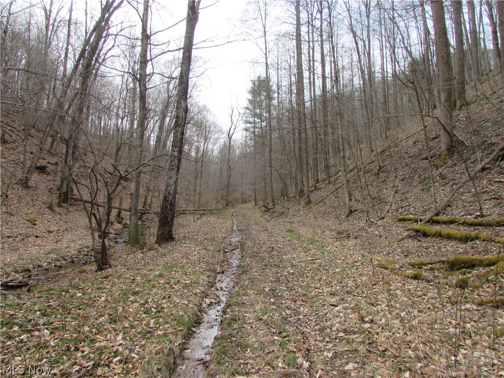 Bean Ridge Road Smithville, WV 26178 - Photo 17 of 34 Gallery Image 17