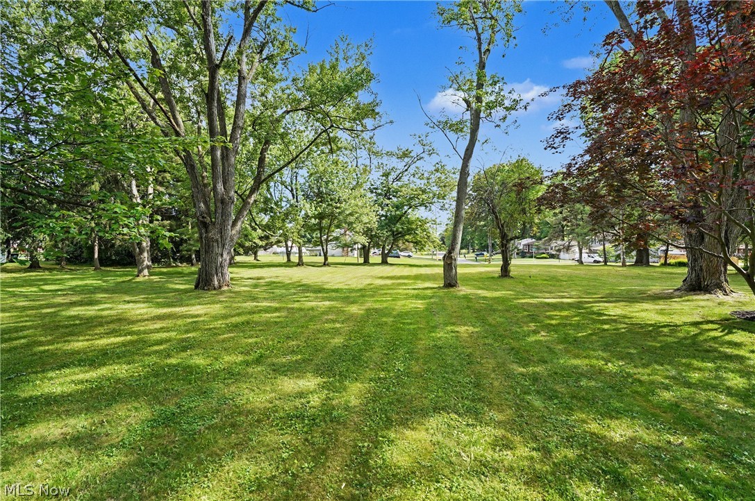 5035 New Road Youngstown, OH 44515 - Photo 46 of 48