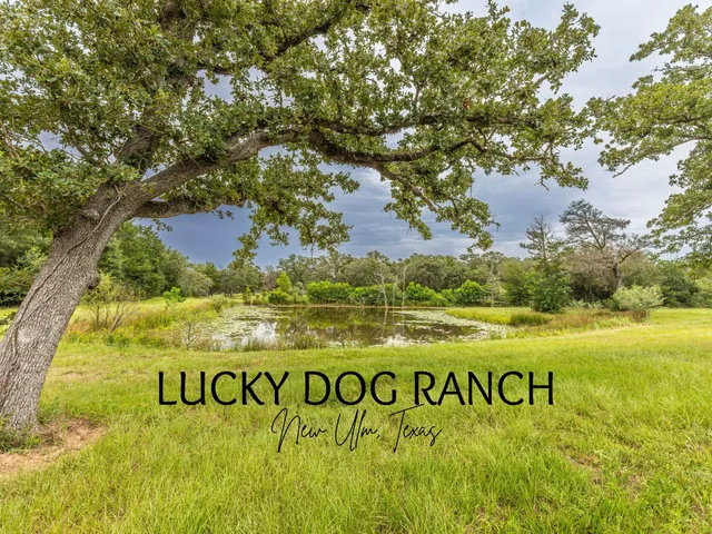 $995,000 | 1126 Abel Road, New Ulm, TX 78950