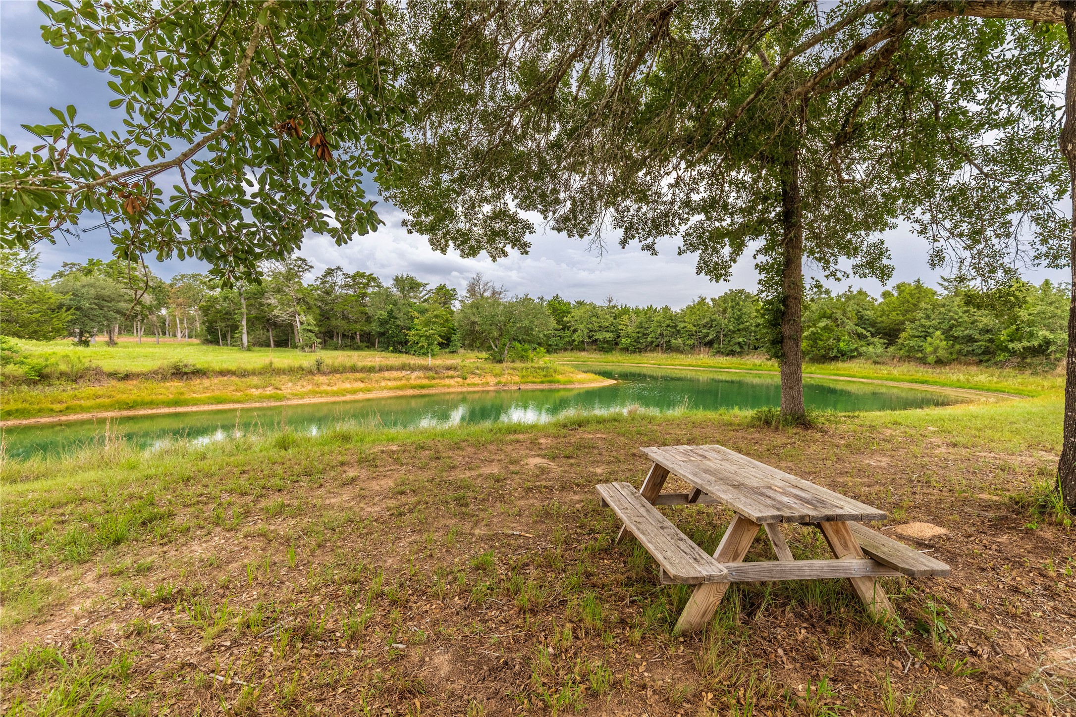 1126 Abel Road New Ulm, TX 78950 - Photo 2 of 43