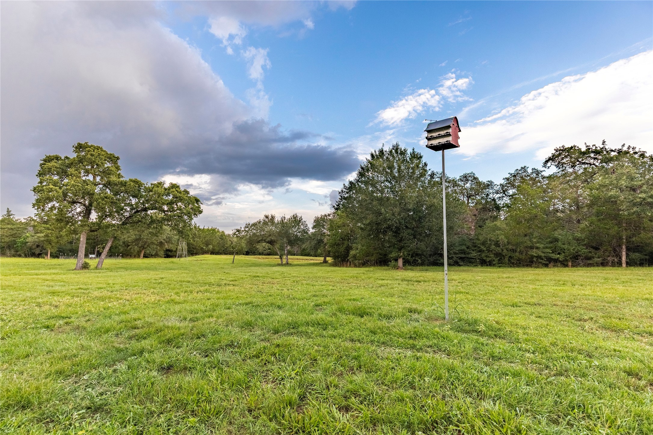 1126 Abel Road New Ulm, TX 78950 - Photo 25 of 43