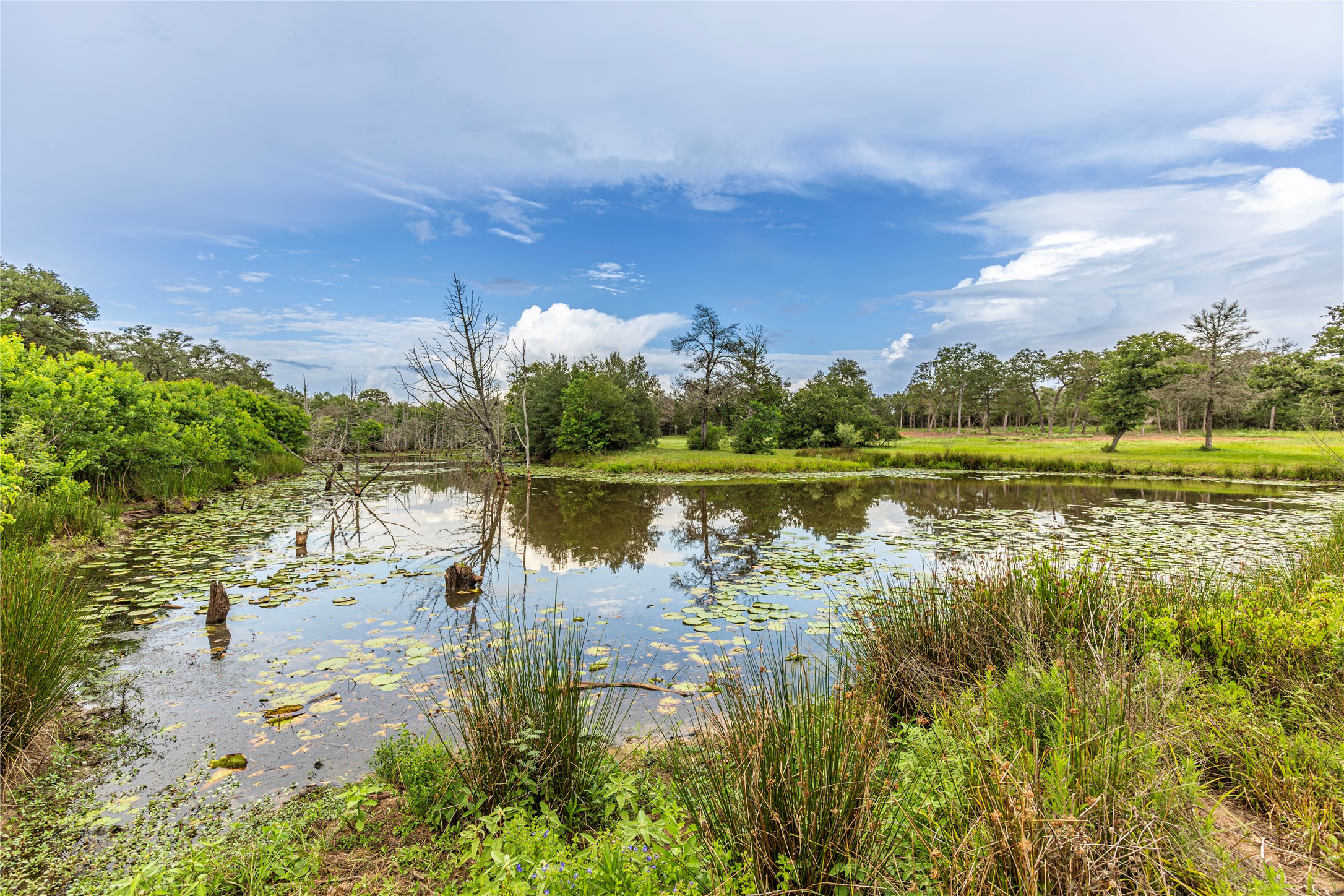1126 Abel Road New Ulm, TX 78950 - Photo 27 of 43