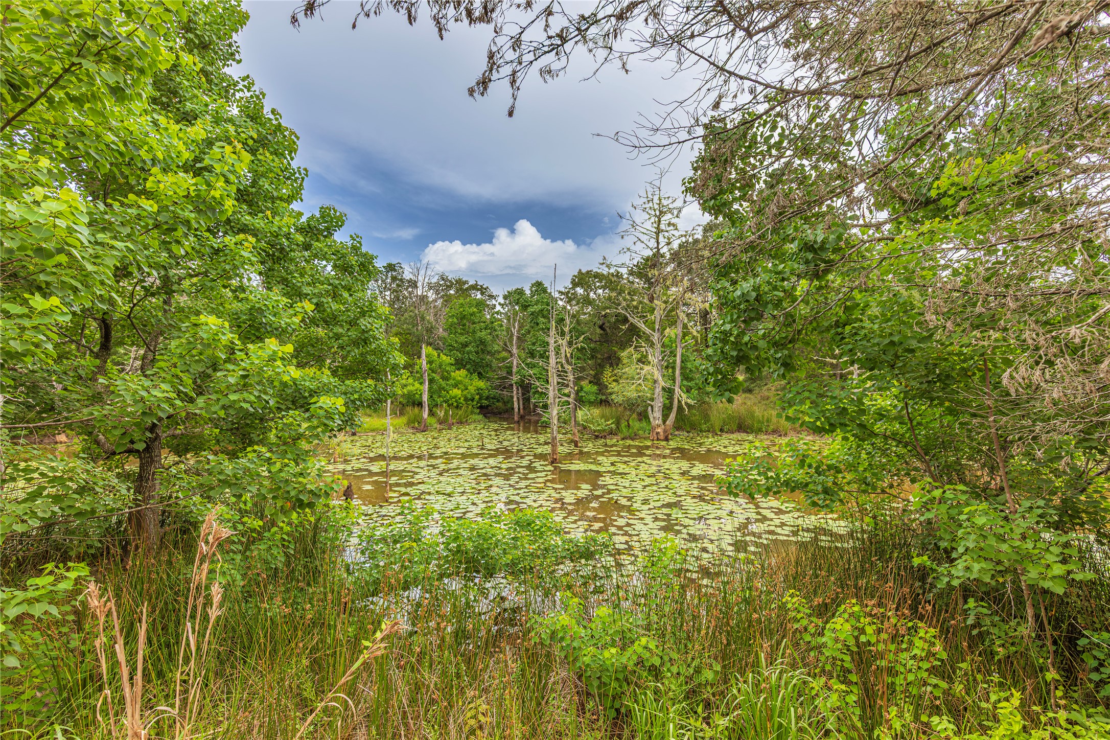 1126 Abel Road New Ulm, TX 78950 - Photo 28 of 43