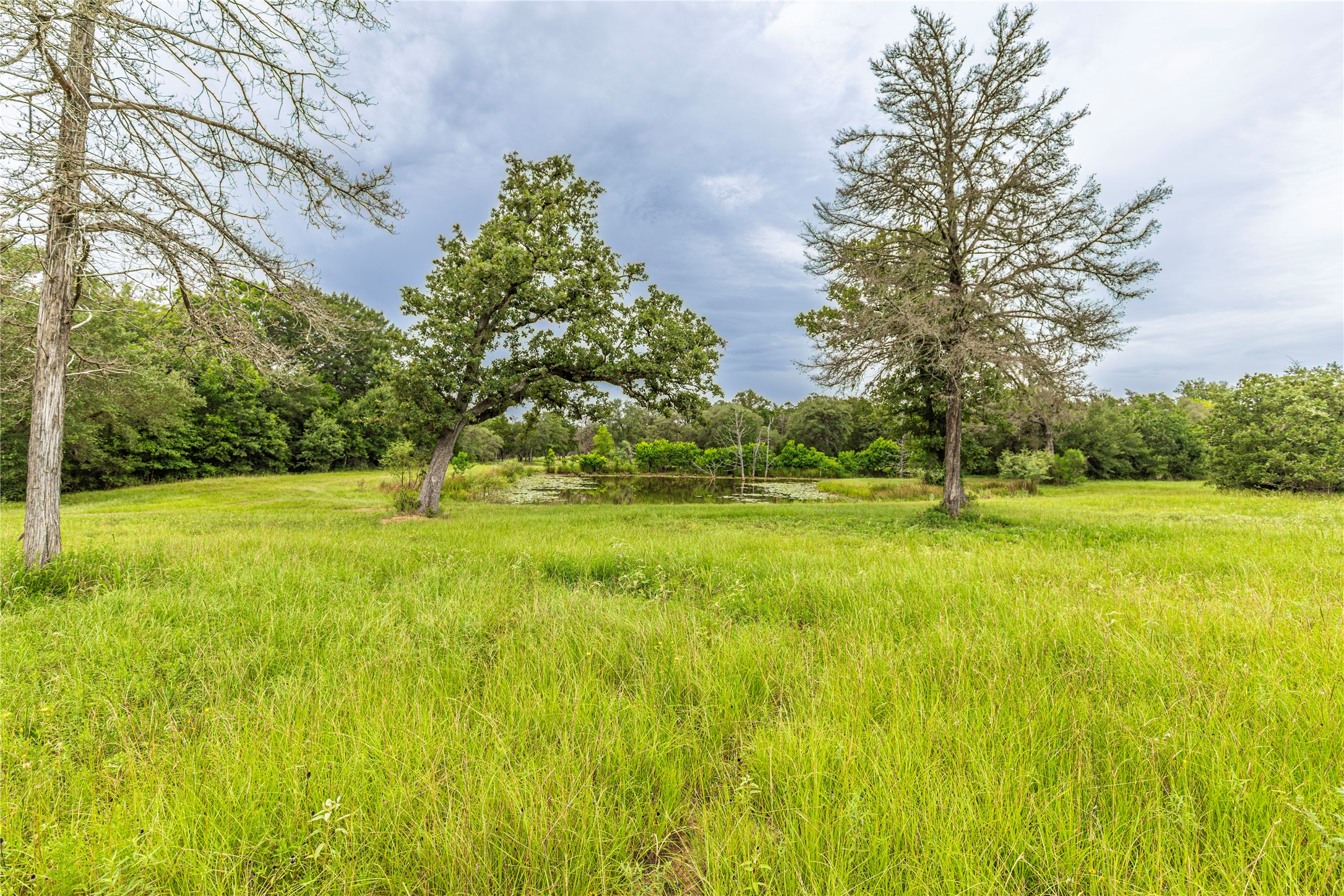 1126 Abel Road New Ulm, TX 78950 - Photo 30 of 43