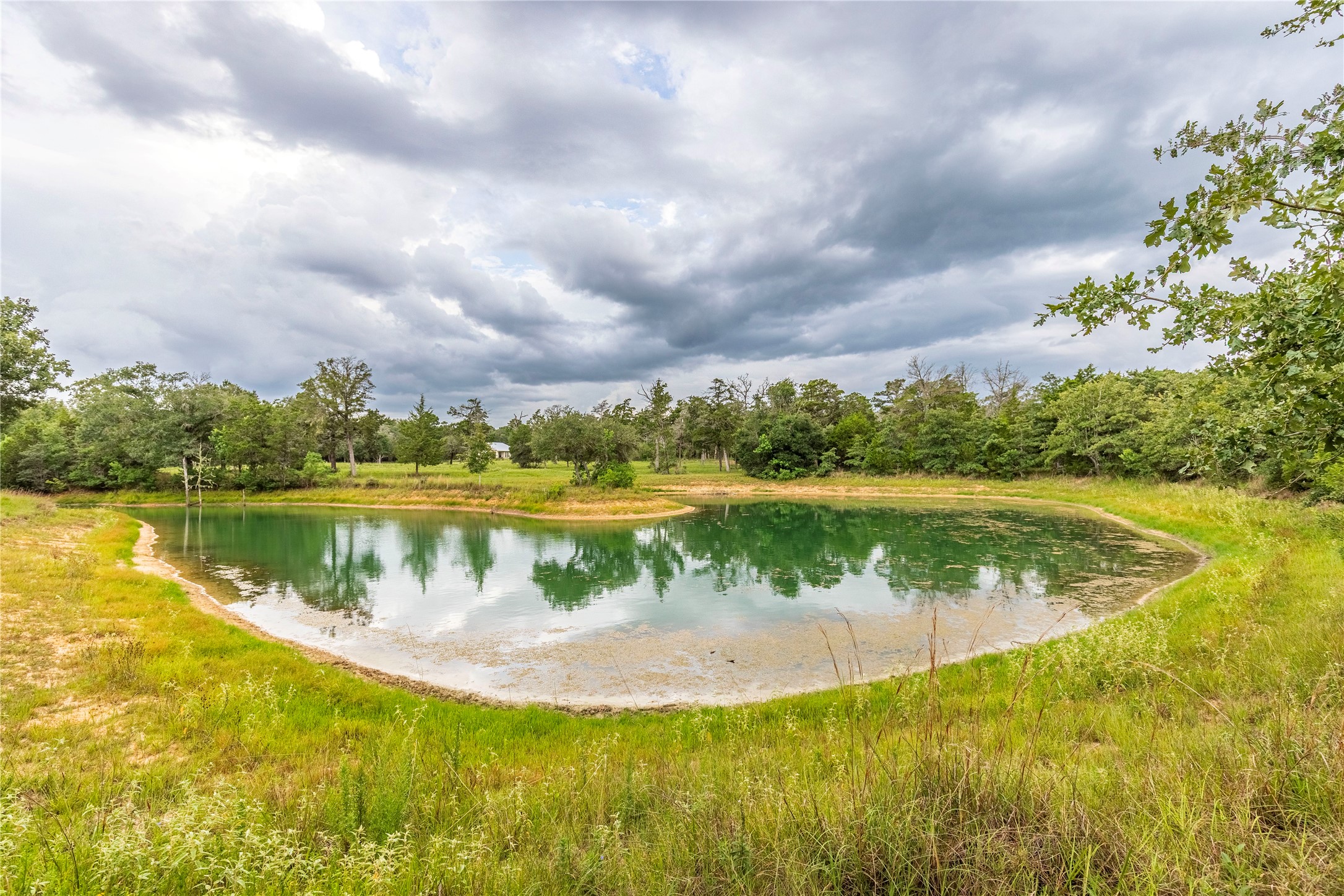 1126 Abel Road New Ulm, TX 78950 - Photo 3 of 43