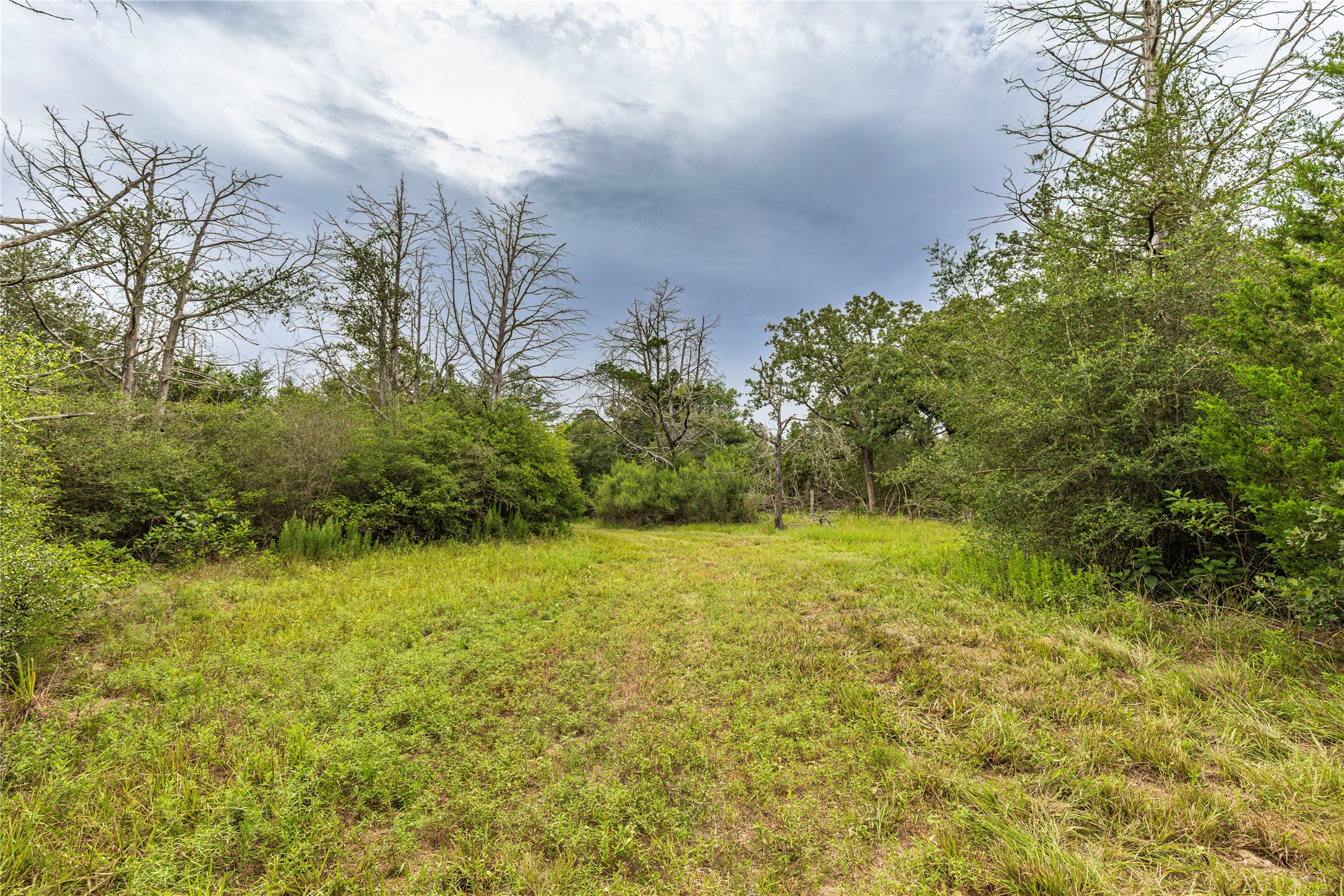 1126 Abel Road New Ulm, TX 78950 - Photo 31 of 43