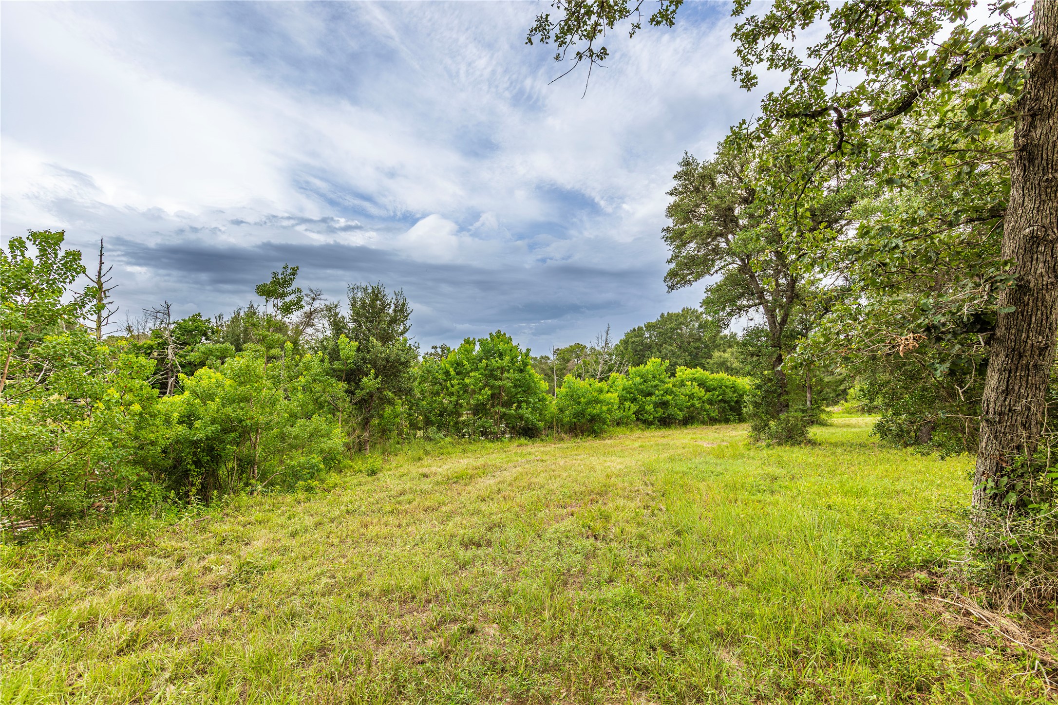 1126 Abel Road New Ulm, TX 78950 - Photo 32 of 43