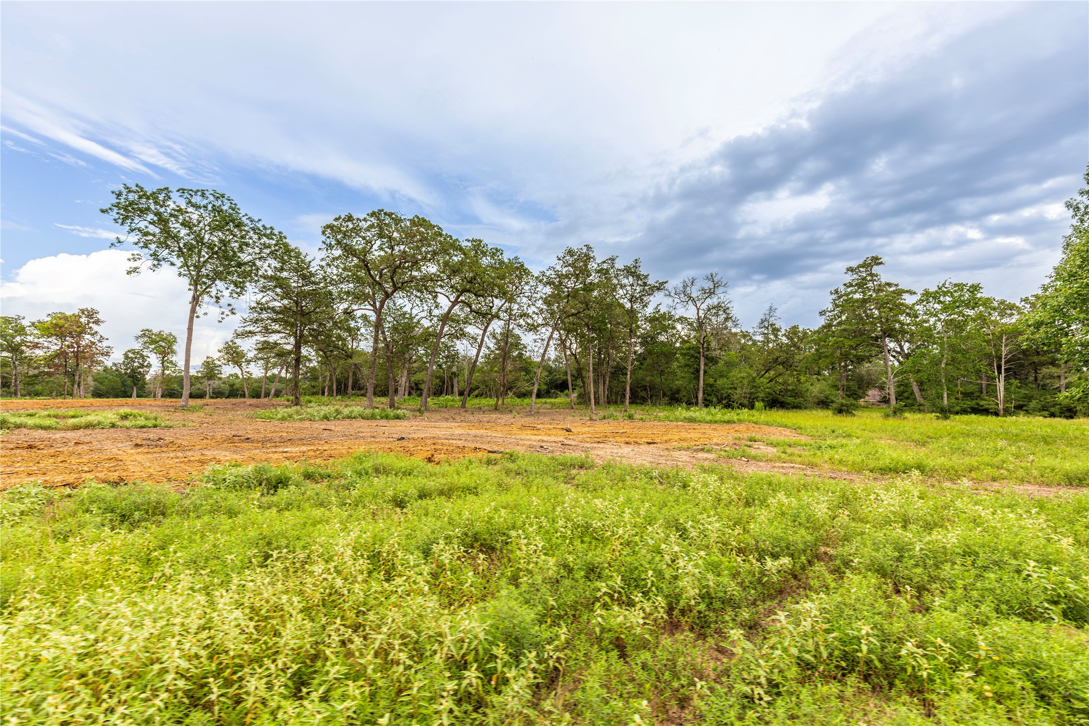 1126 Abel Road New Ulm, TX 78950 - Photo 34 of 43