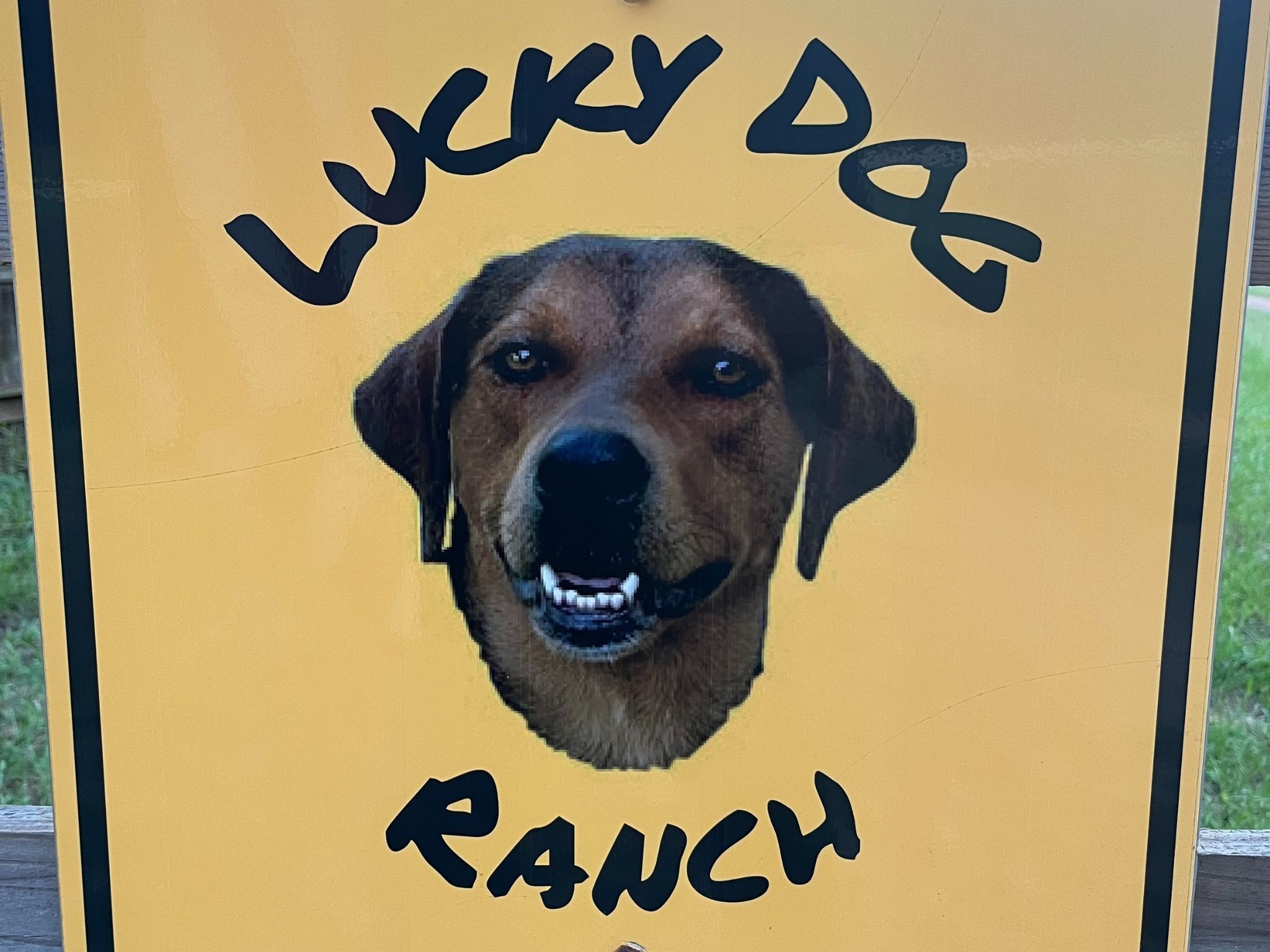 1126 Abel Road New Ulm, TX 78950 - Photo 36 of 43