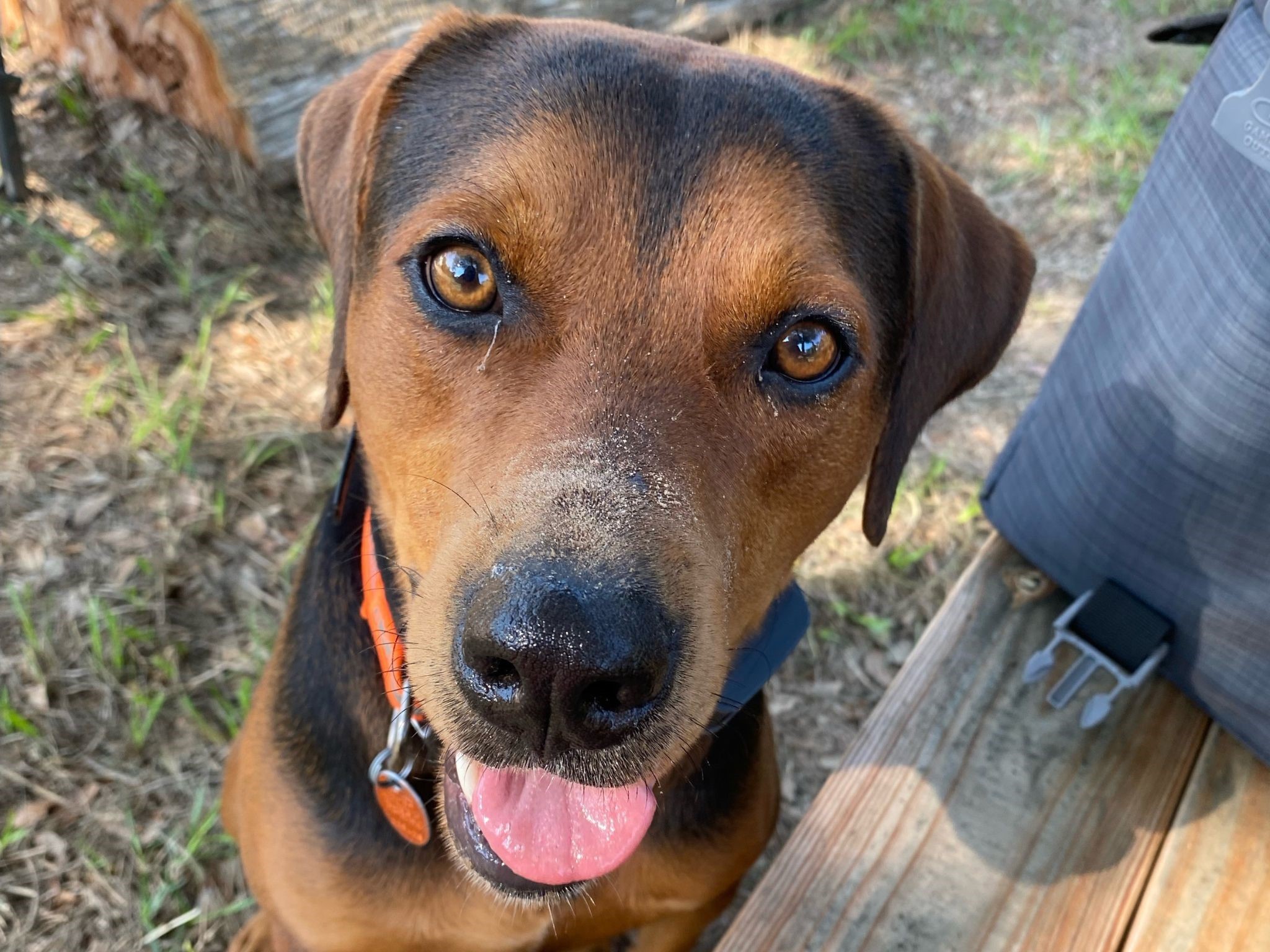 1126 Abel Road New Ulm, TX 78950 - Photo 37 of 43