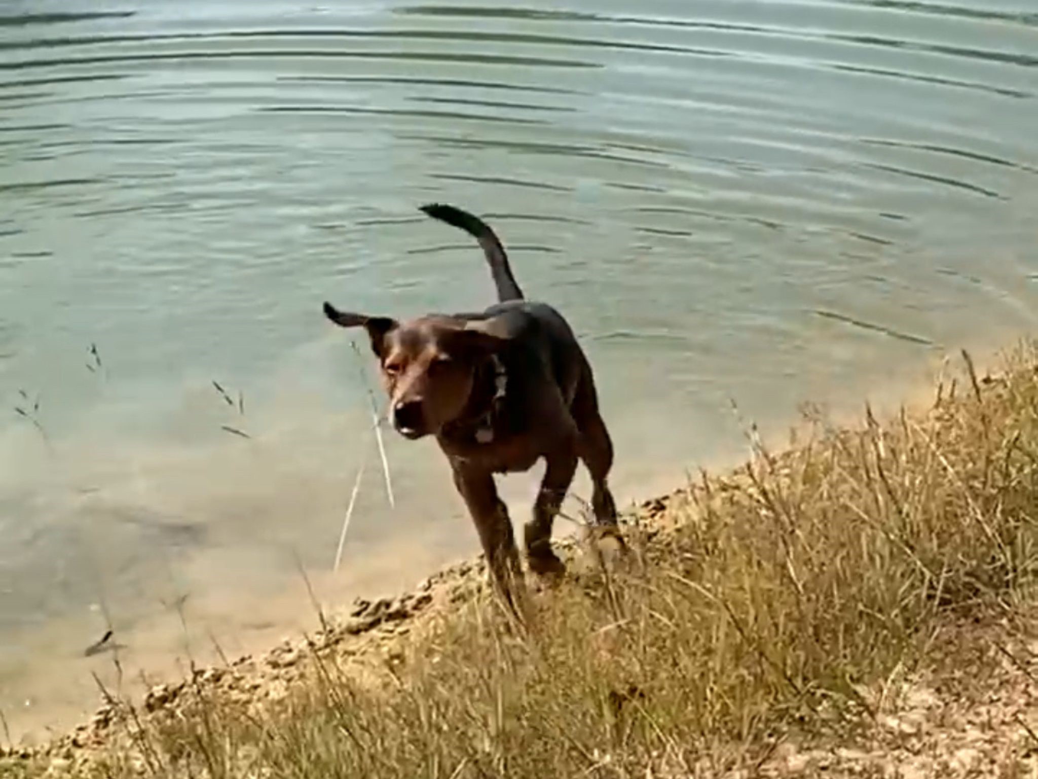 1126 Abel Road New Ulm, TX 78950 - Photo 39 of 43