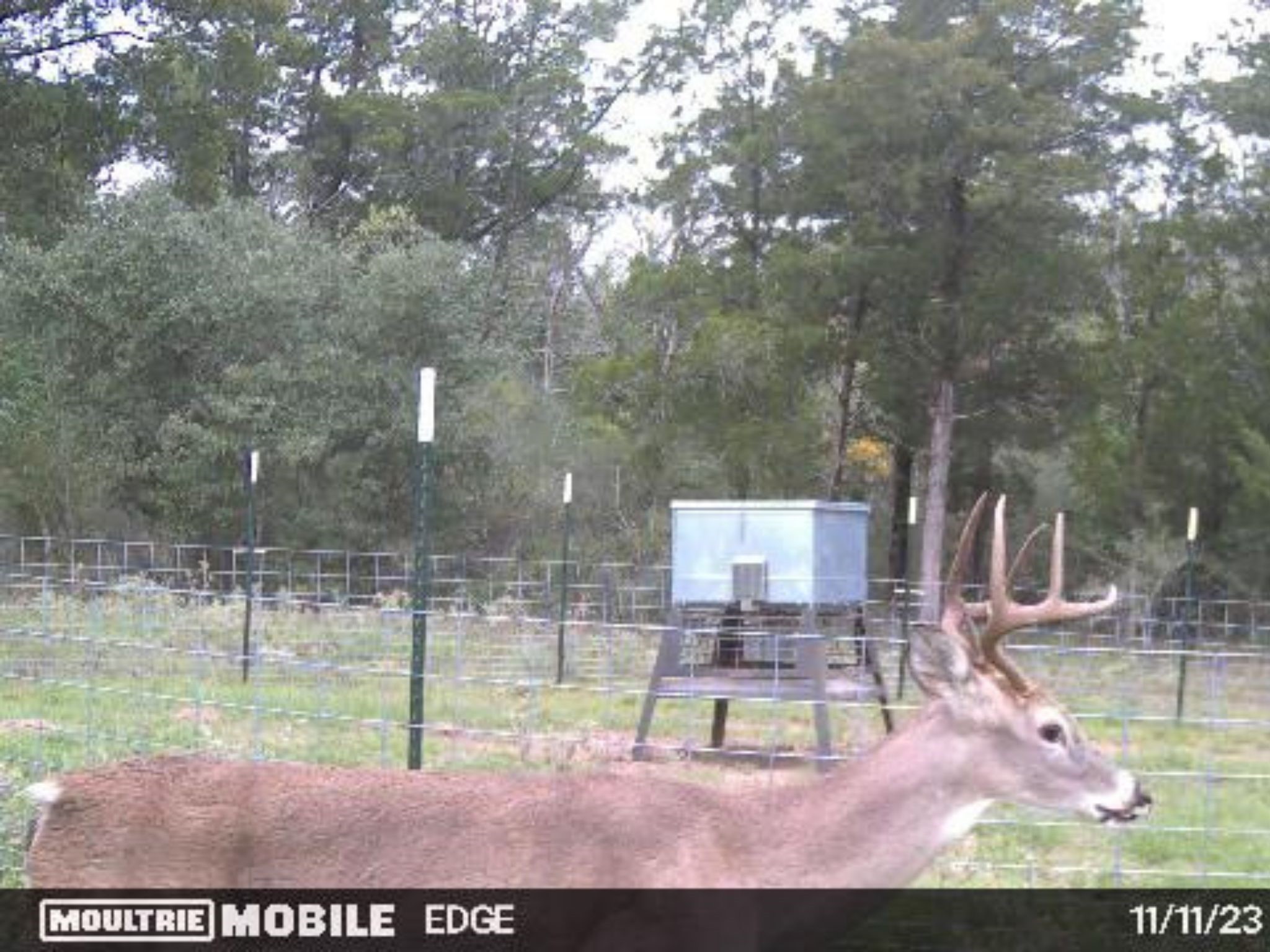 1126 Abel Road New Ulm, TX 78950 - Photo 41 of 43