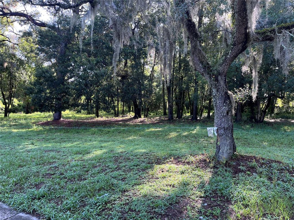 325 Marker Street Altamonte Springs, FL 32701 - Photo 7 of 7 a view of green field