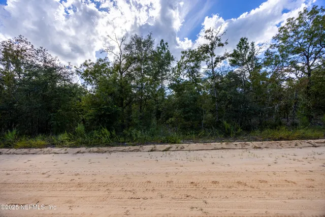 a view of a dirt road with trees in the background