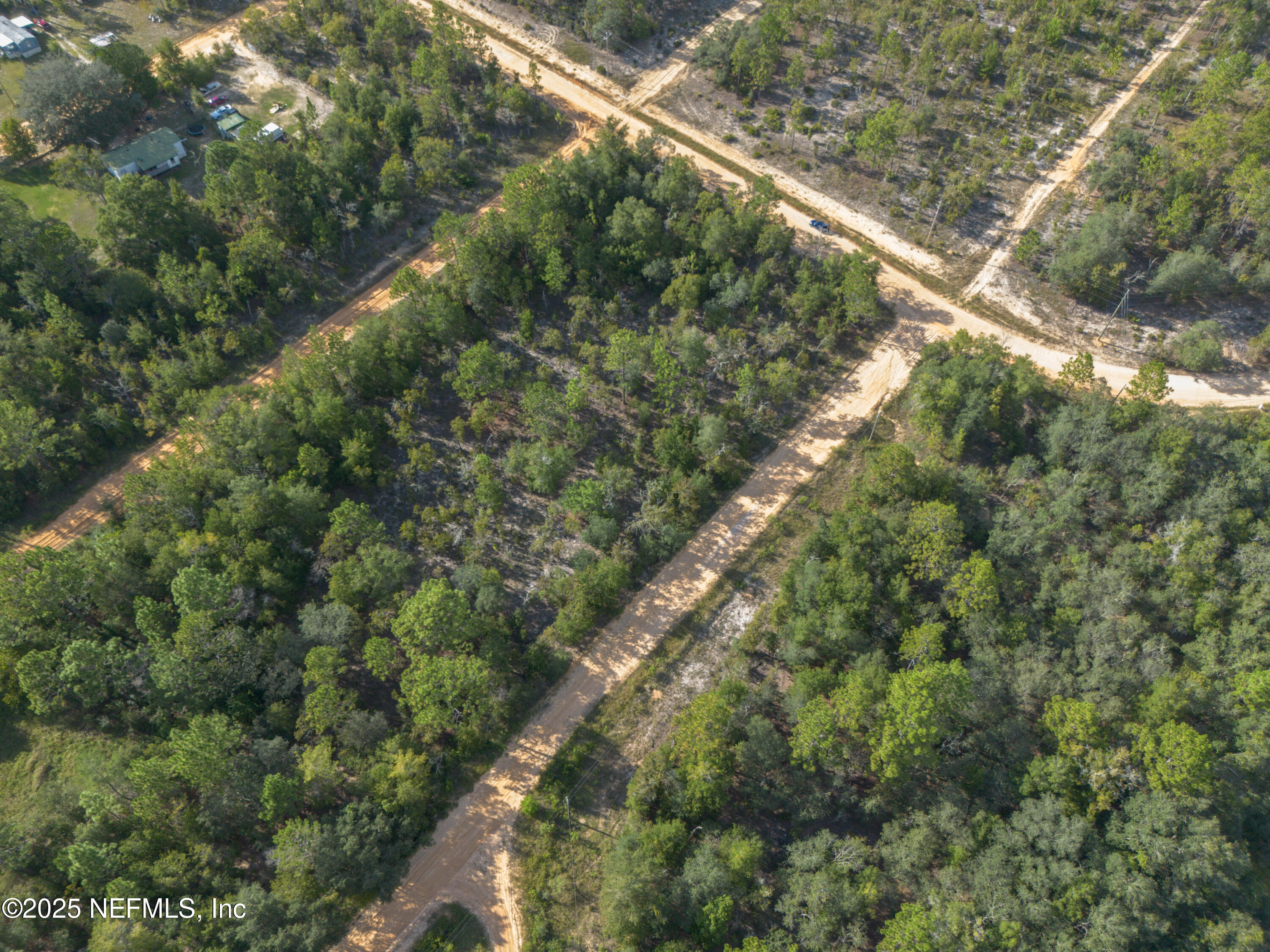 Tbd Grey Street Interlachen, FL 32148 - Photo 2 of 19 a view of a forest with a tree