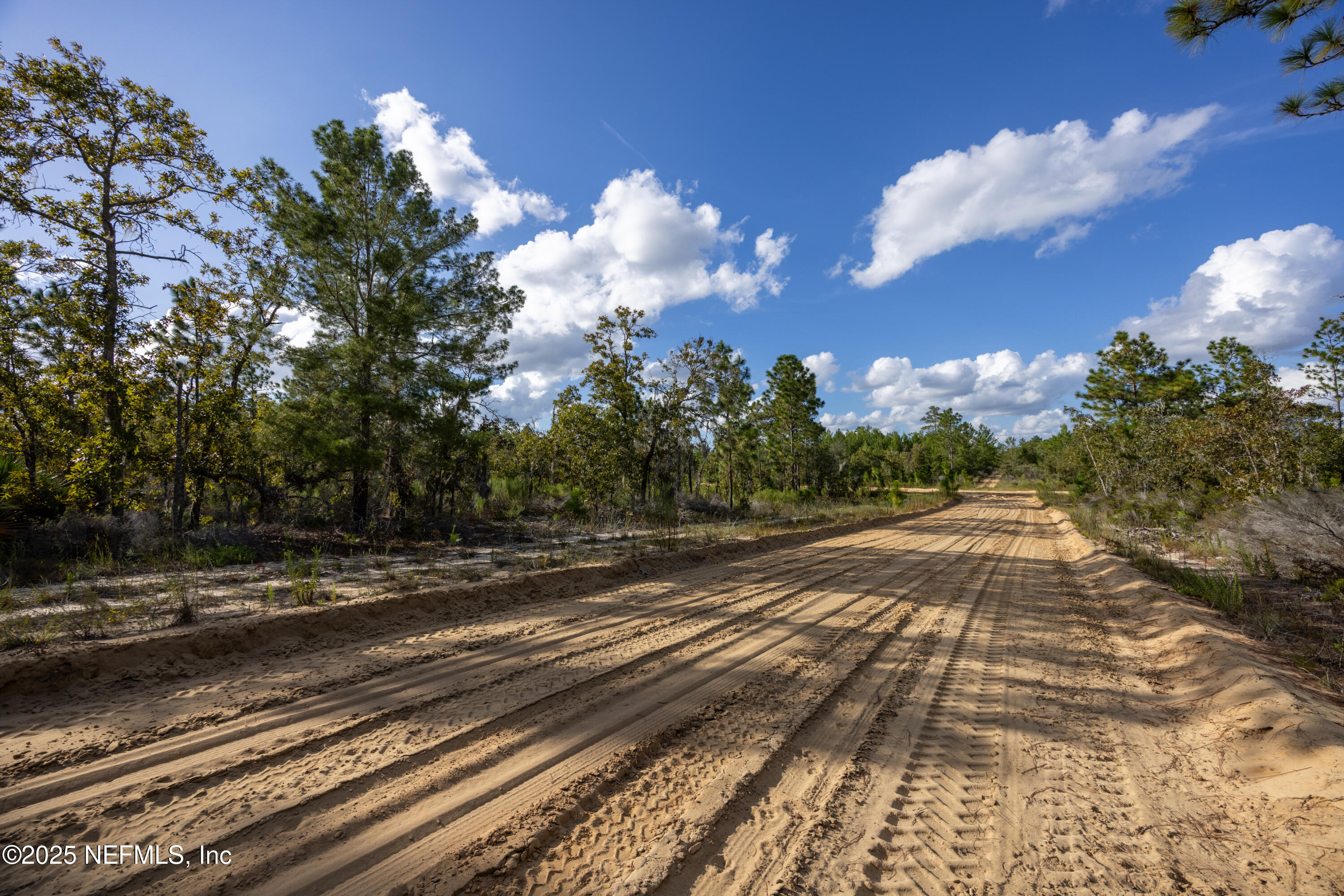 Tbd Grey Street Interlachen, FL 32148 - Photo 6 of 19 a view of a yard