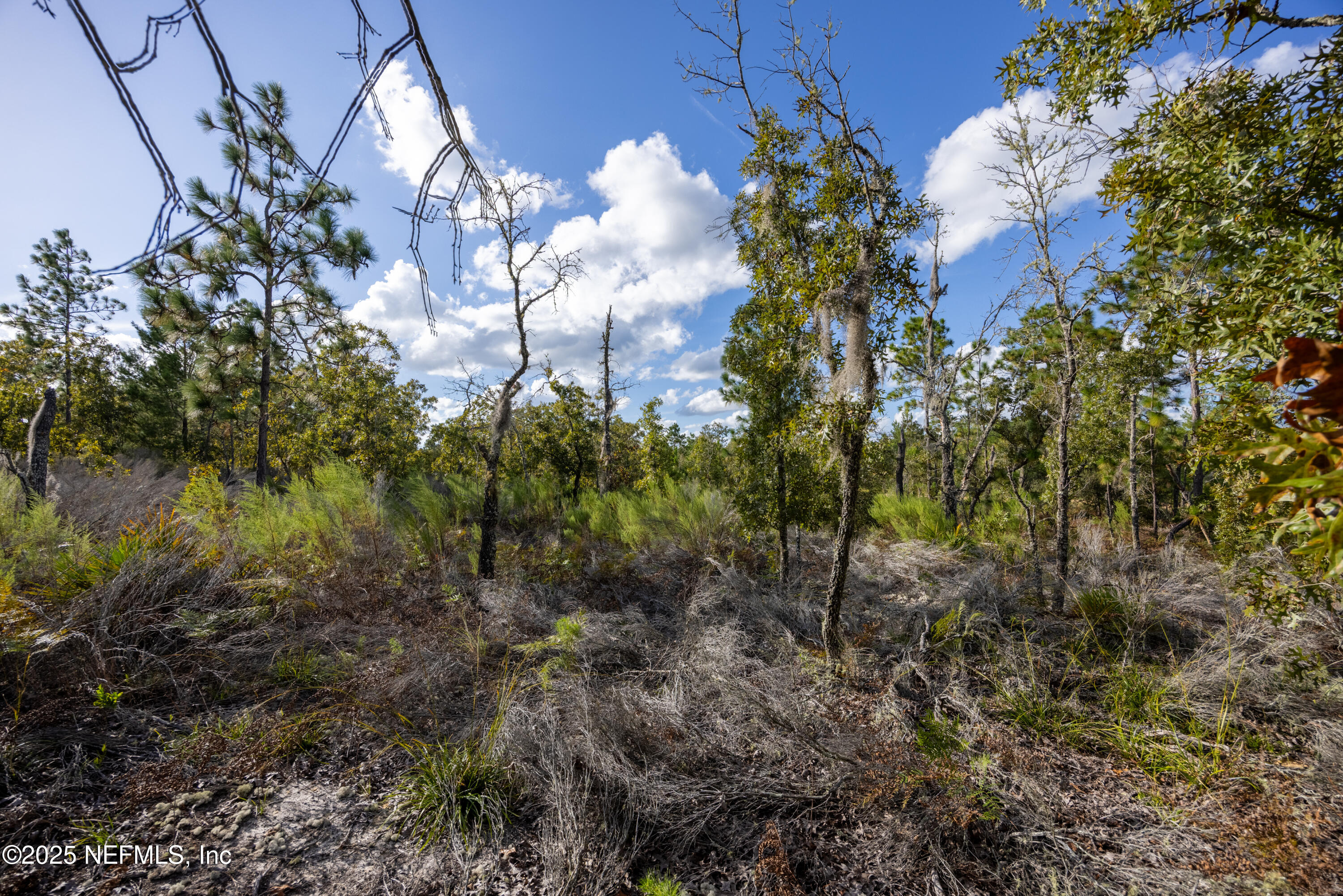 Tbd Grey Street Interlachen, FL 32148 - Photo 7 of 19 a view of building