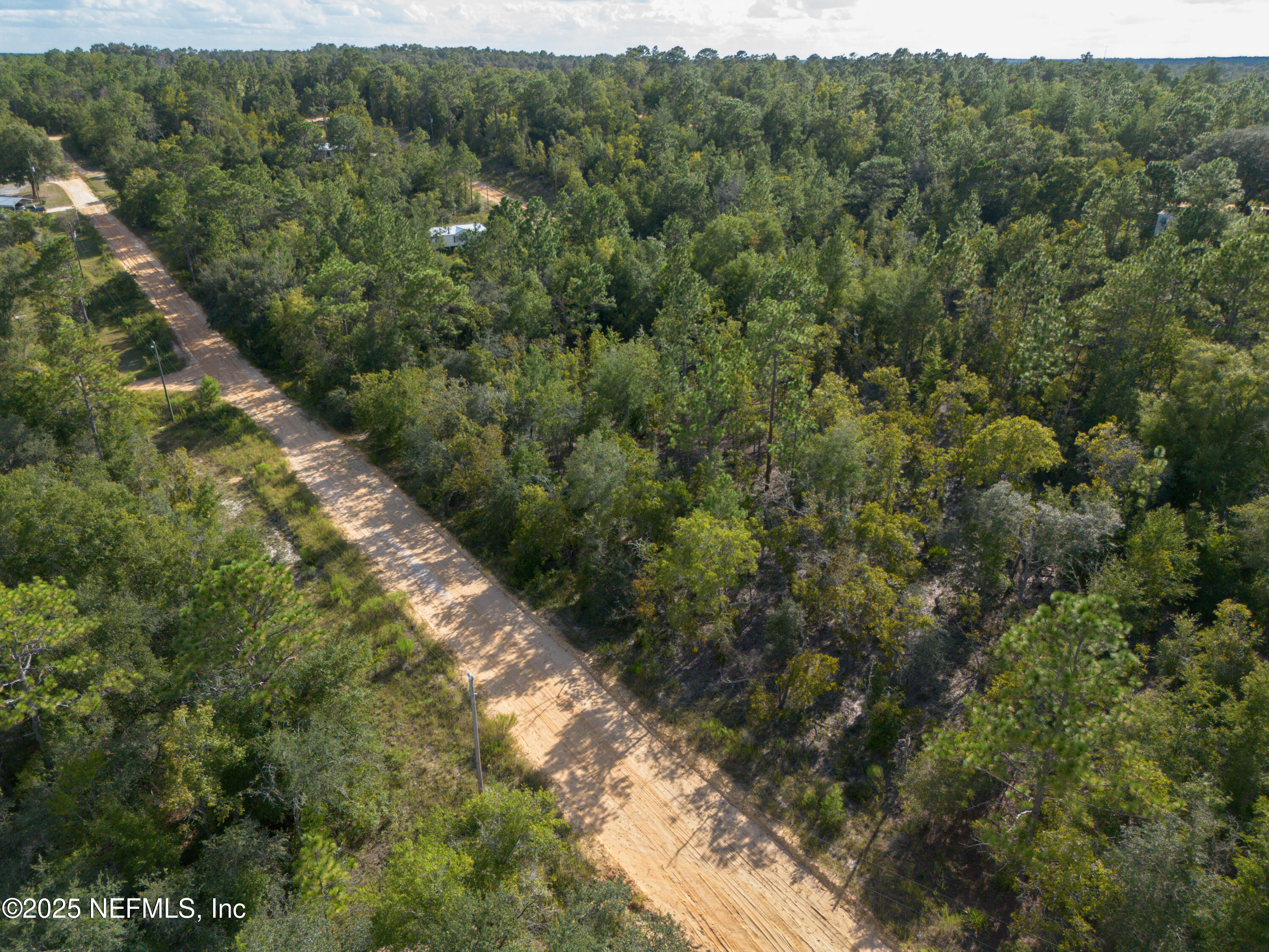 Tbd Grey Street Interlachen, FL 32148 - Photo 8 of 19 a view of a forest with an trees
