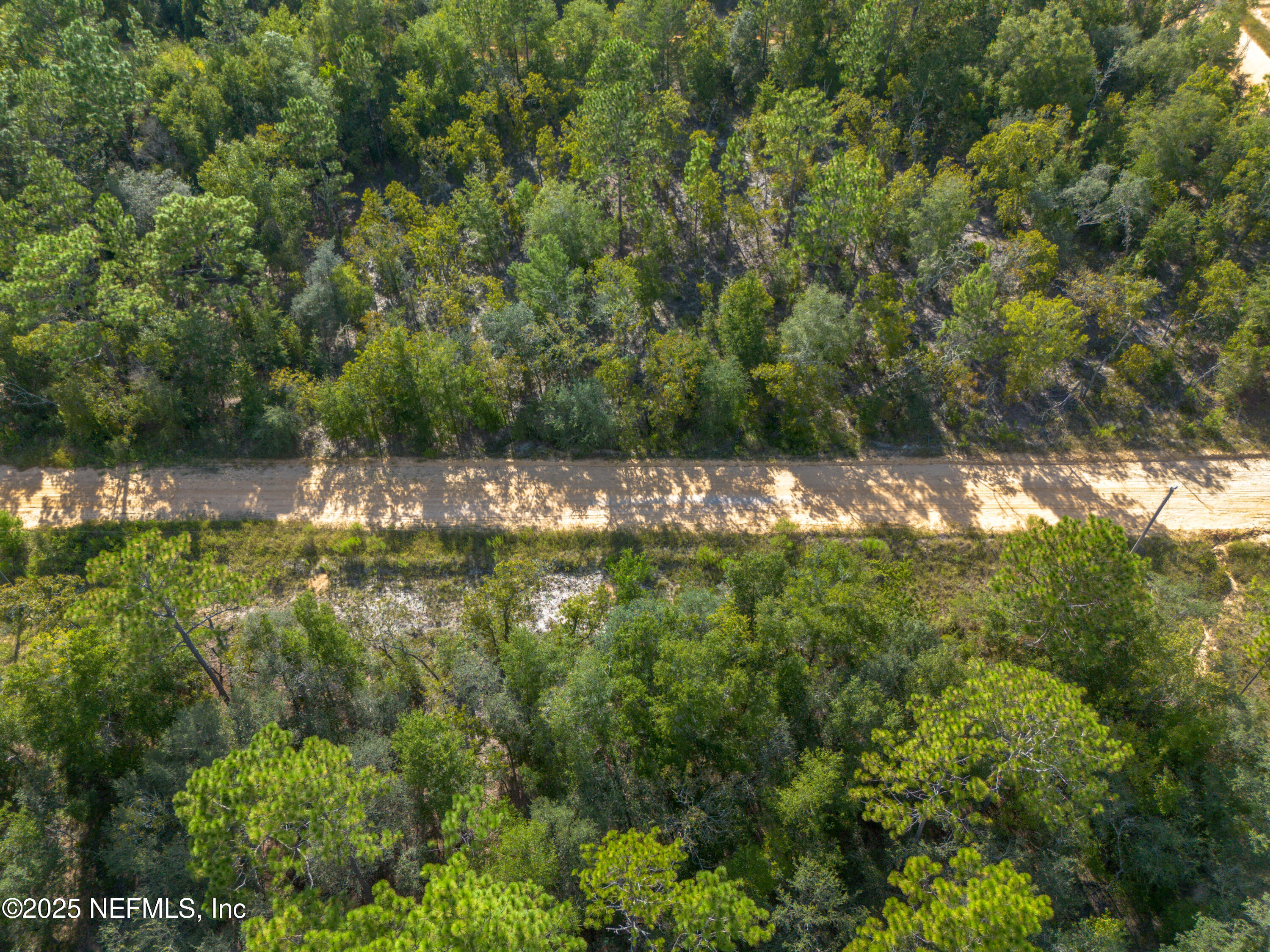 Tbd Grey Street Interlachen, FL 32148 - Photo 9 of 19 a view of a yard