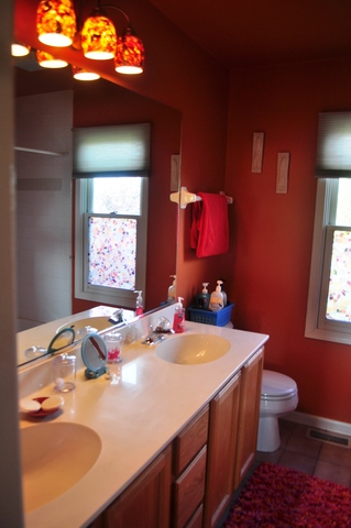 127 Barnes Road Elgin, IL 60124 - Photo 11 of 19 a bathroom with a sink a toilet and mirror