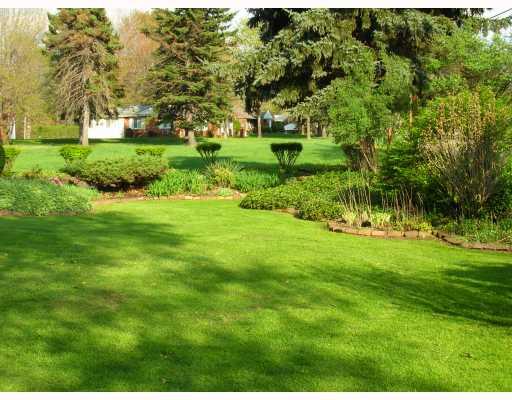 3230 Tuscarawas Road Beaver, PA 15009 - Photo 18 of 18 Land. Side yard at 3230 Tusca Rd.