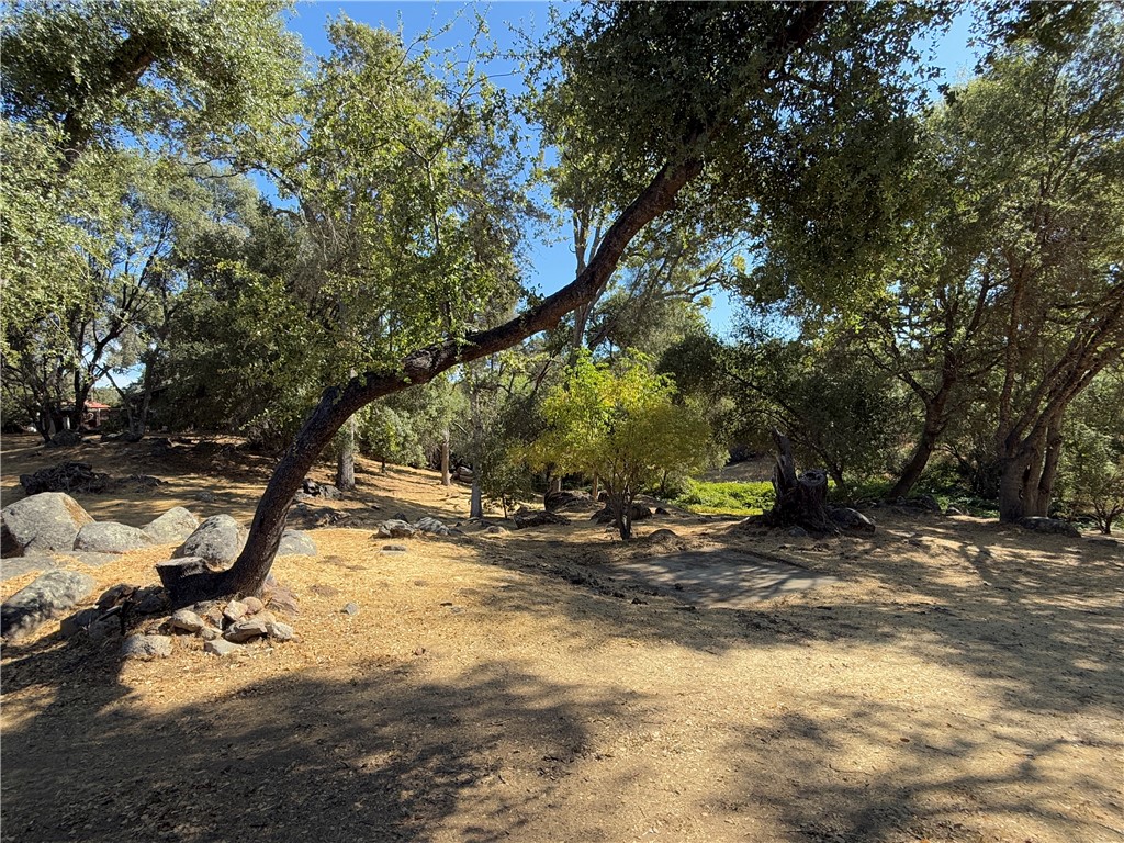 5100 Silva Road Mariposa, CA 95338 - Photo 16 of 58