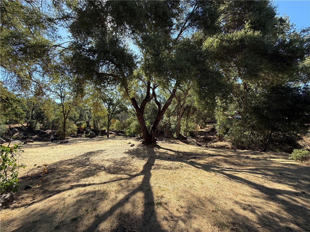 5100 Silva Road Mariposa, CA 95338 - Photo 17 of 58