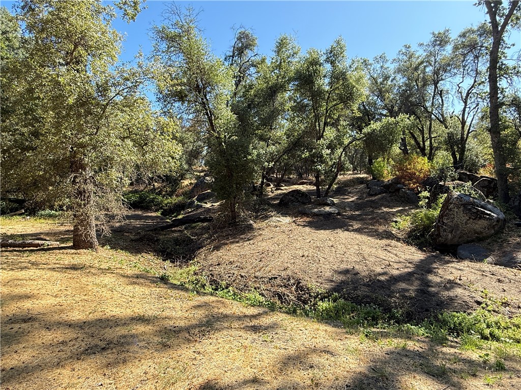 5100 Silva Road Mariposa, CA 95338 - Photo 49 of 58