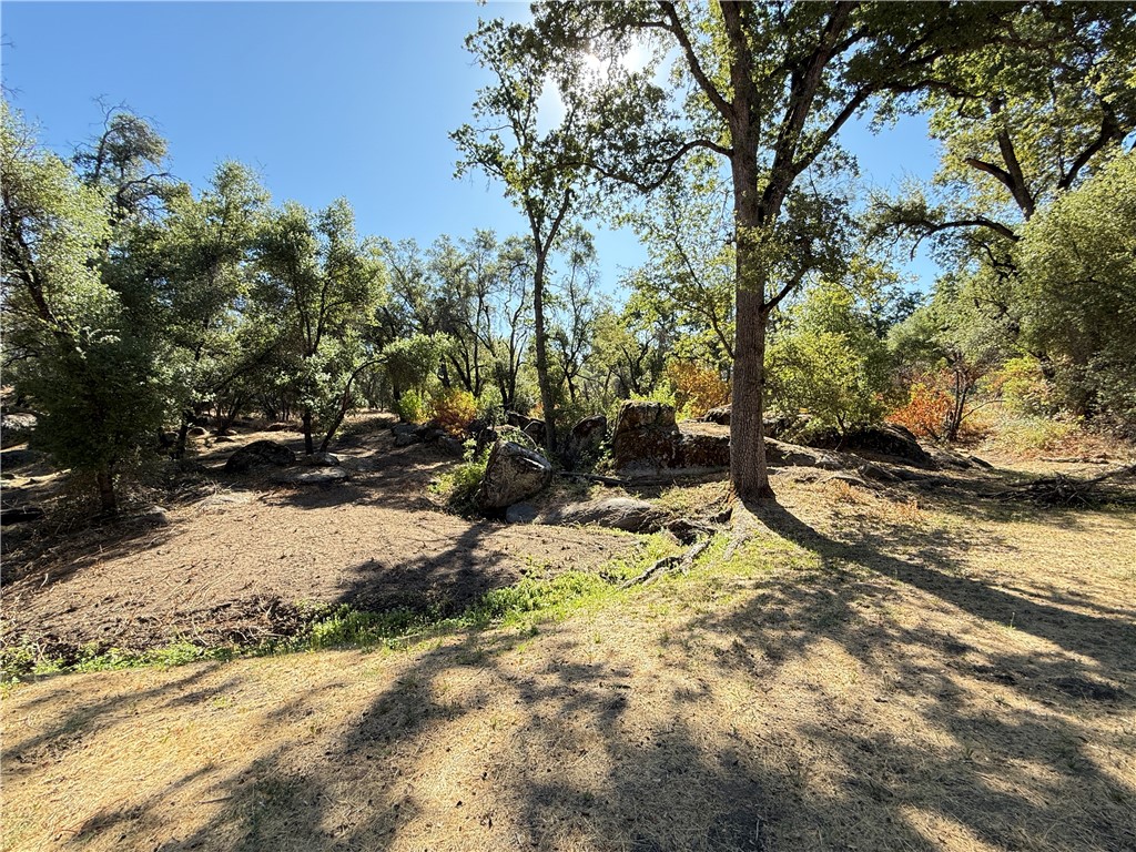 5100 Silva Road Mariposa, CA 95338 - Photo 50 of 58