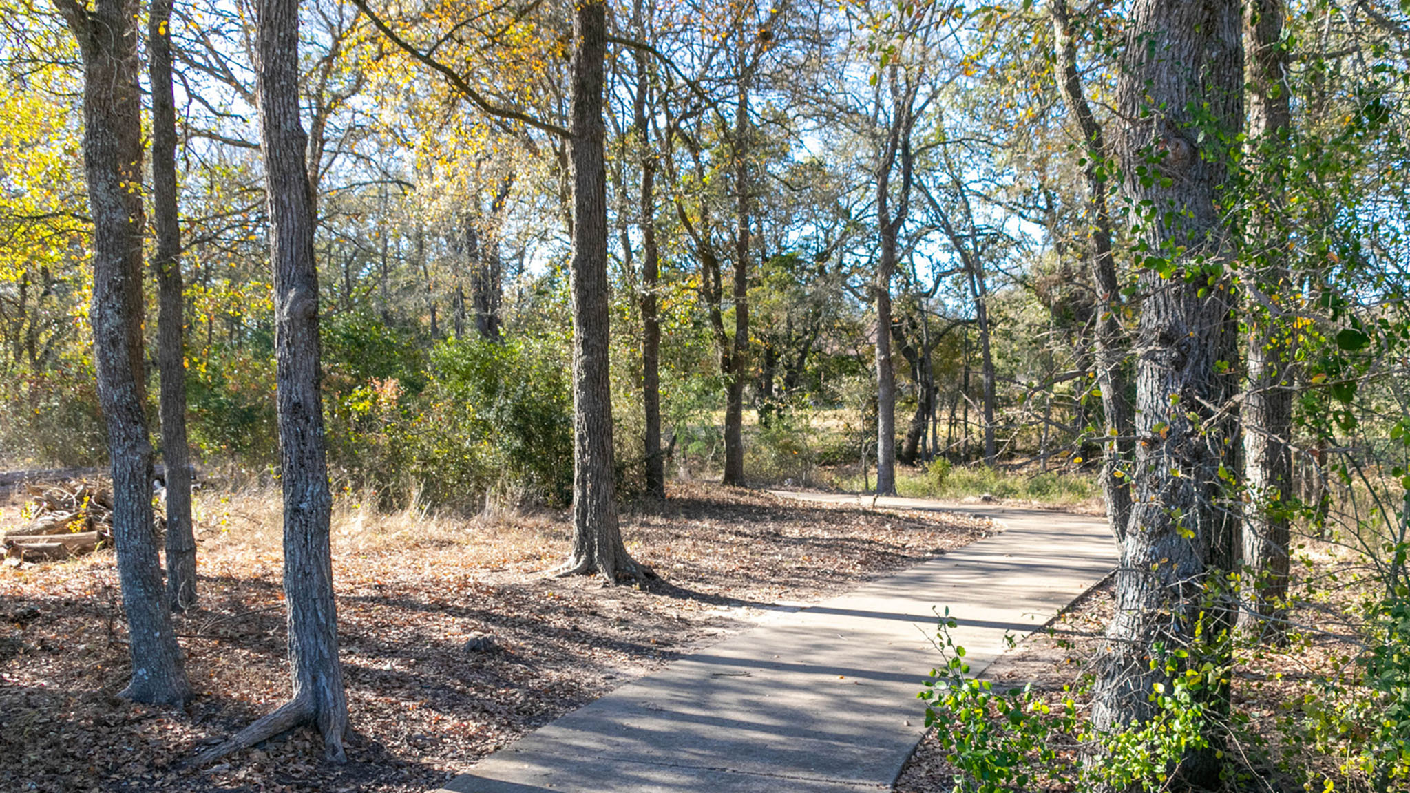 332 Maddy Way Bastrop, TX 78602 - Photo 13 of 18