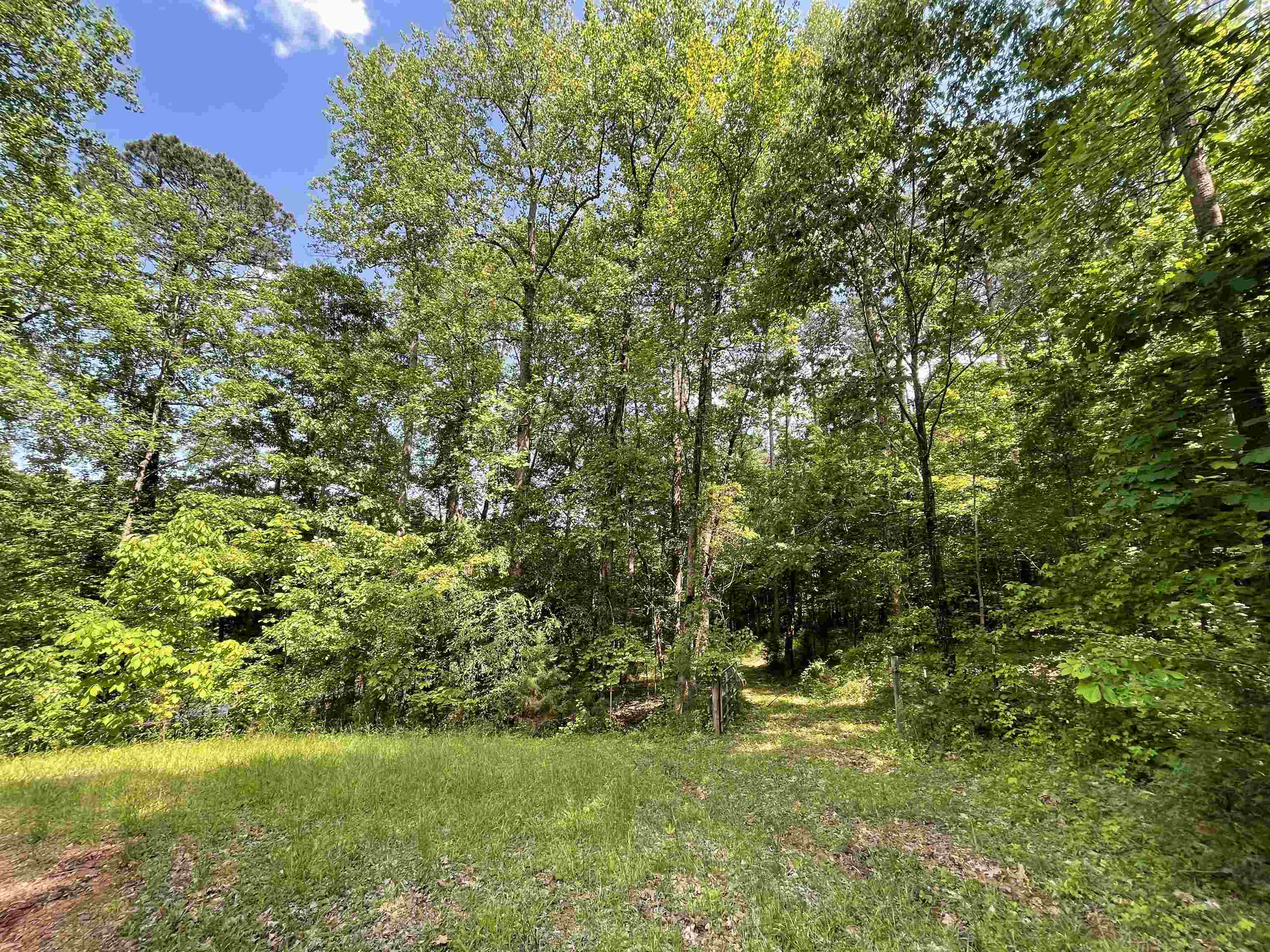 1944 Dr Johns Road Westminster, SC 29693 - Photo 29 of 38
