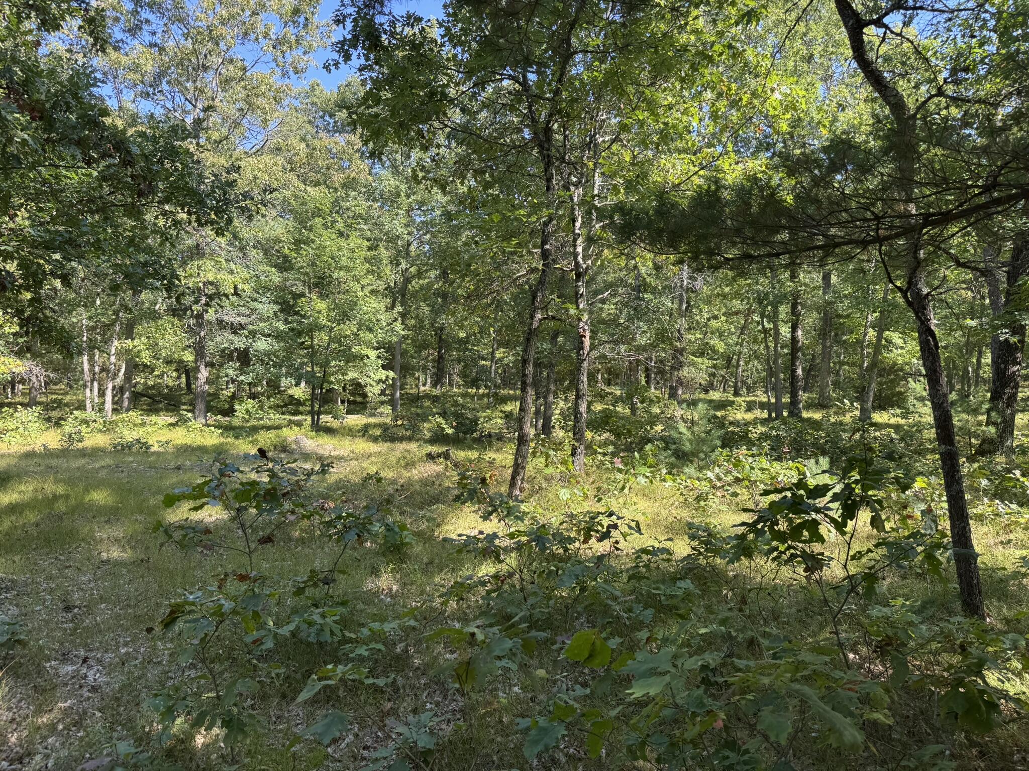 East County Line Road Manistee, MI 49660 - Photo 12 of 25 IMG_1035