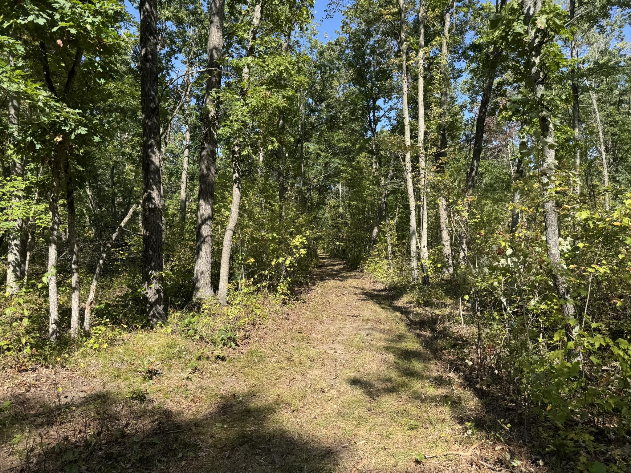 East County Line Road Manistee, MI 49660 - Photo 13 of 25 IMG_1017