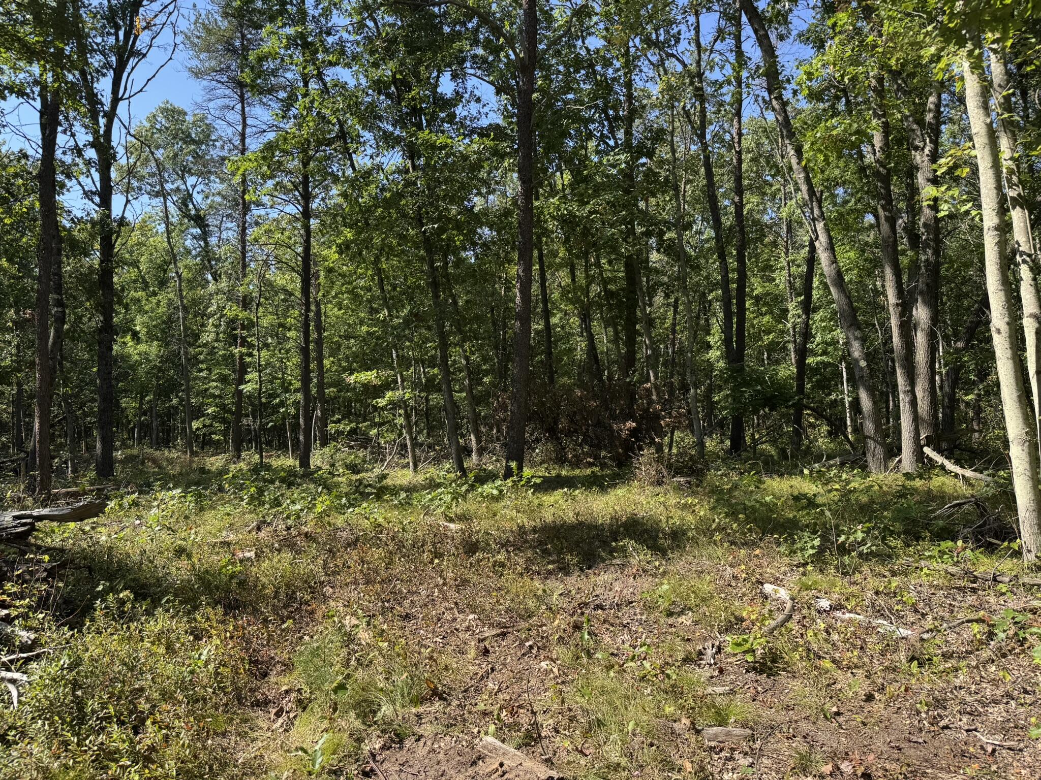 East County Line Road Manistee, MI 49660 - Photo 14 of 25 IMG_1018