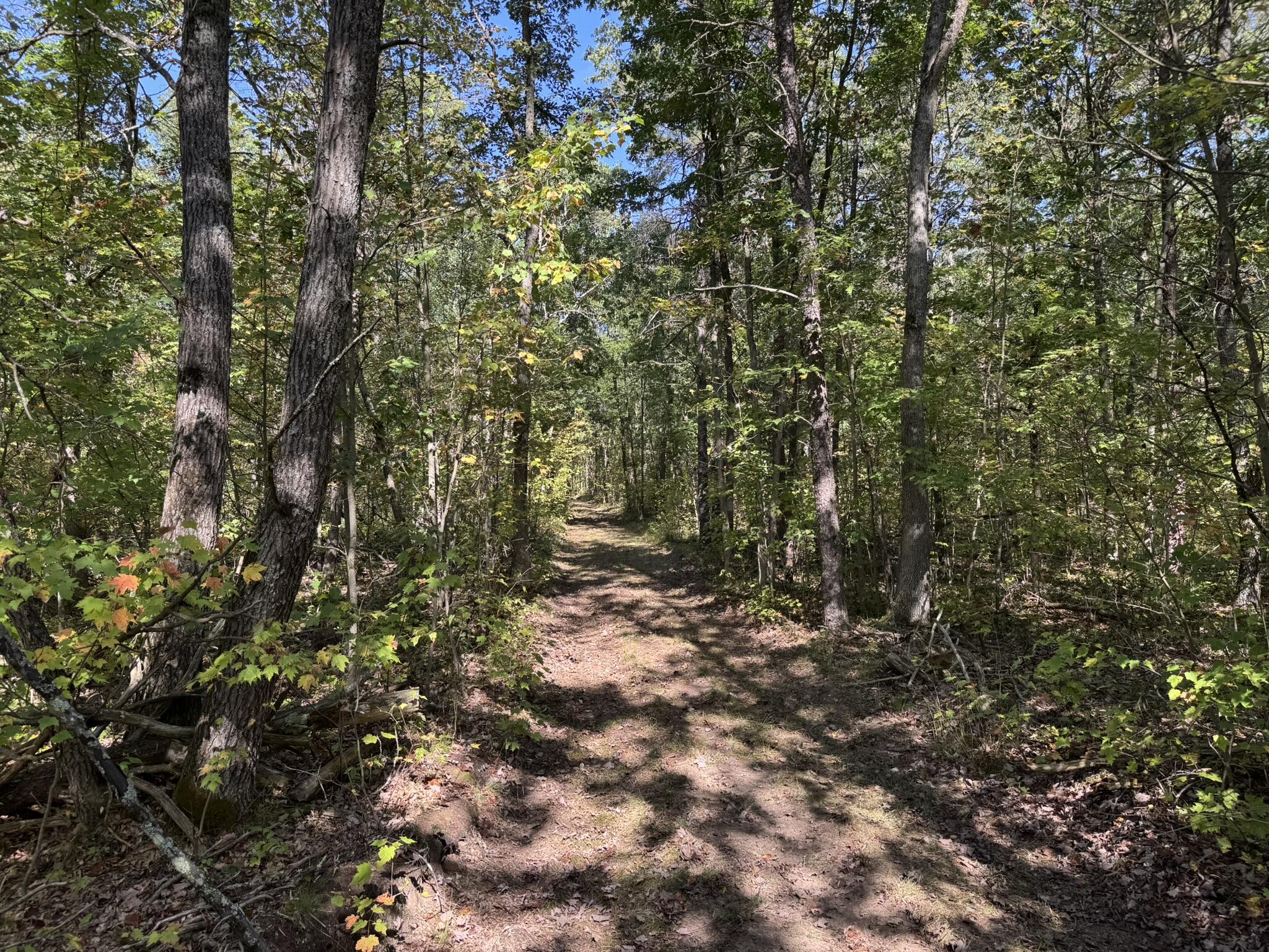 East County Line Road Manistee, MI 49660 - Photo 15 of 25 IMG_1019