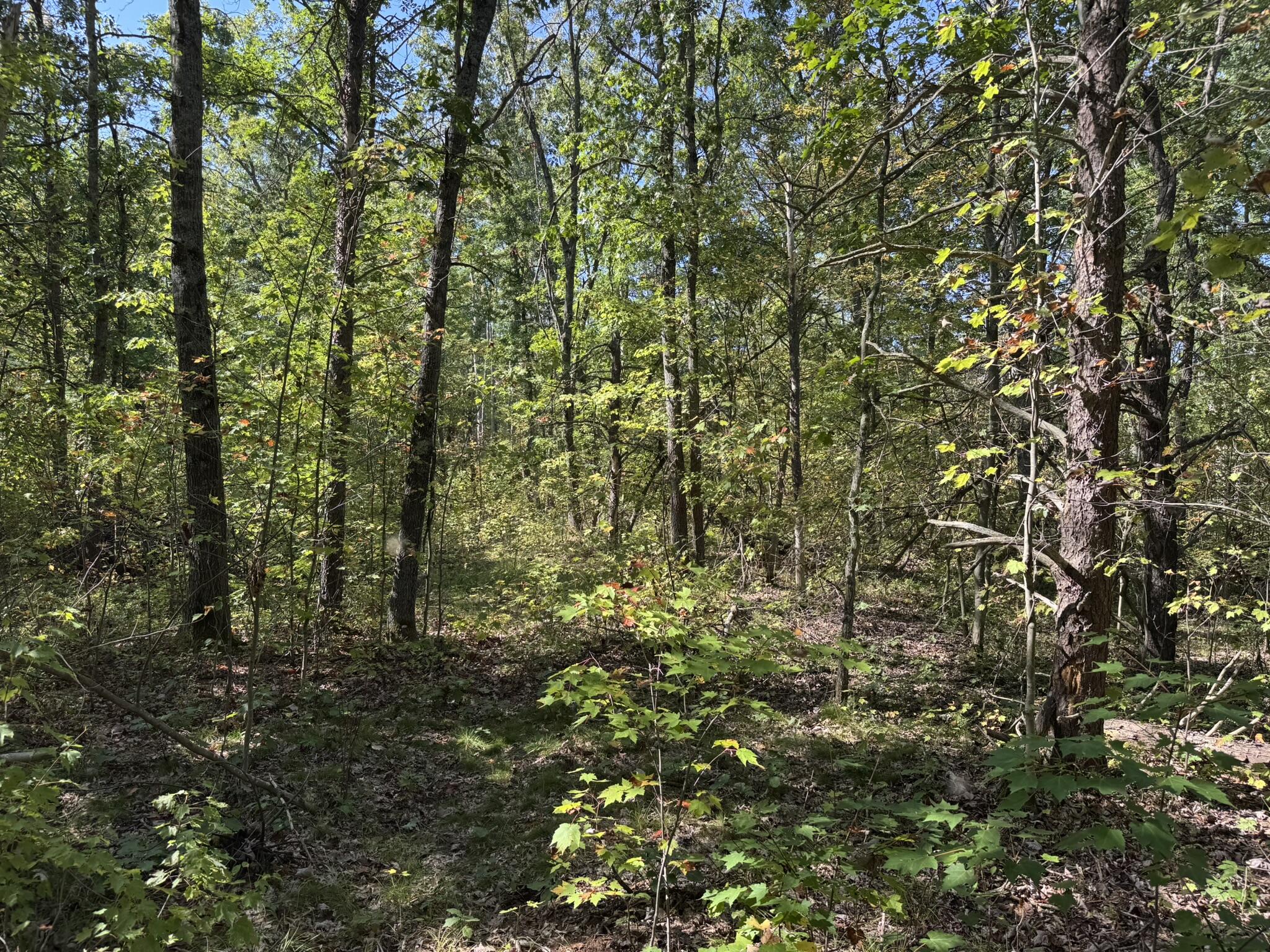 East County Line Road Manistee, MI 49660 - Photo 16 of 25 IMG_1020