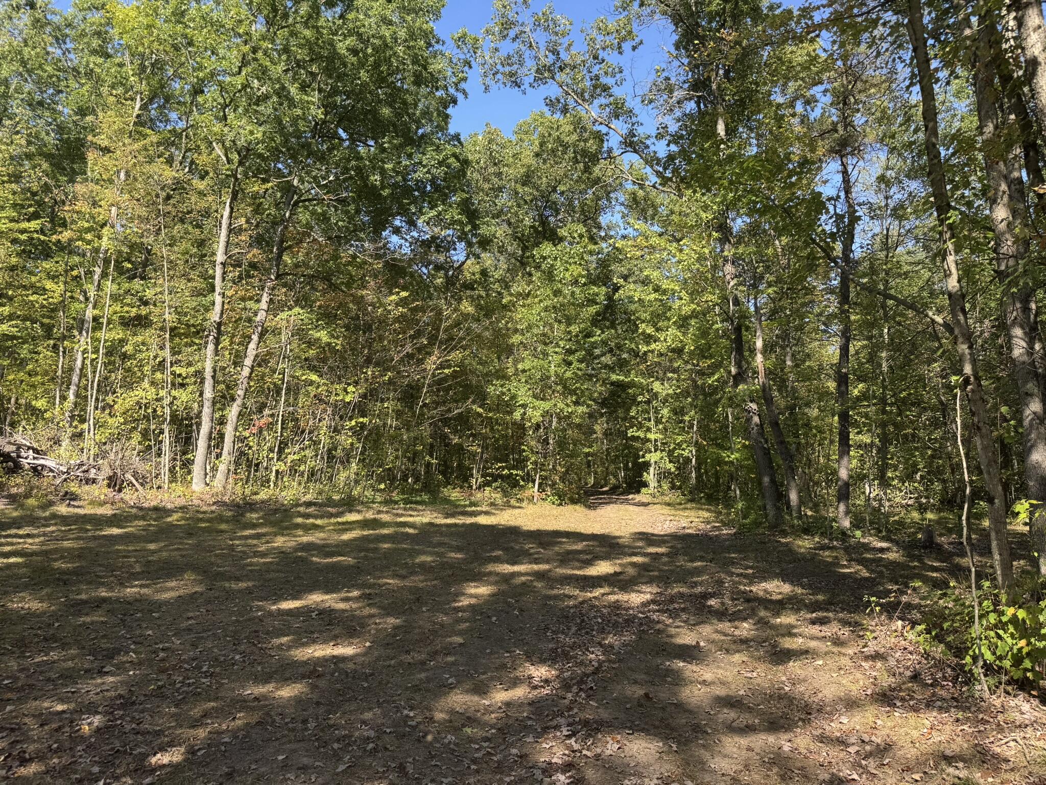 East County Line Road Manistee, MI 49660 - Photo 18 of 25 IMG_1022