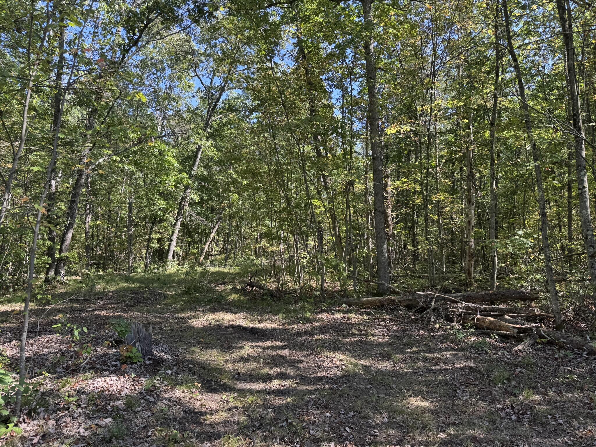 East County Line Road Manistee, MI 49660 - Photo 20 of 25 IMG_1024