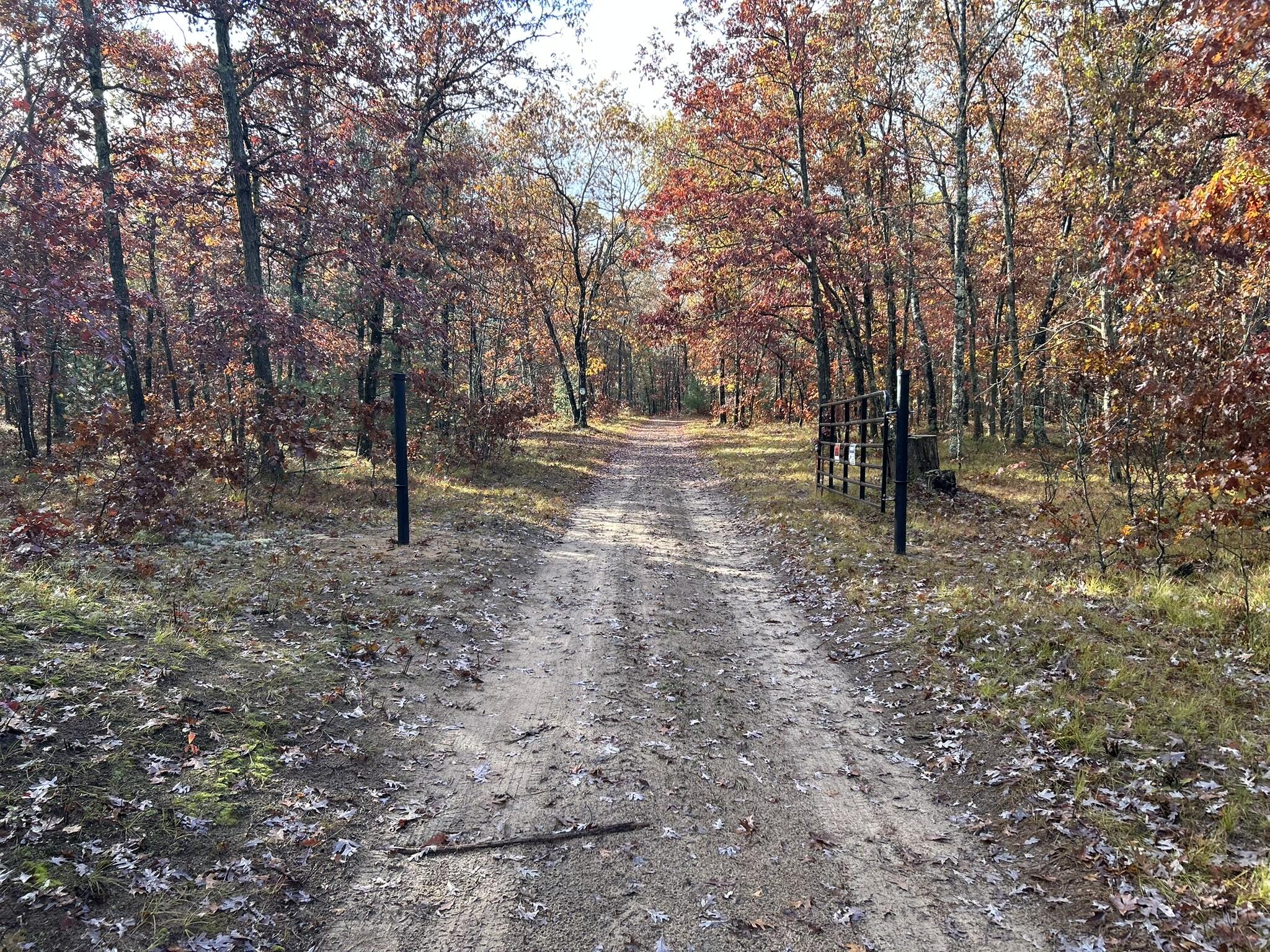 East County Line Road Manistee, MI 49660 - Photo 2 of 25 IMG_3275