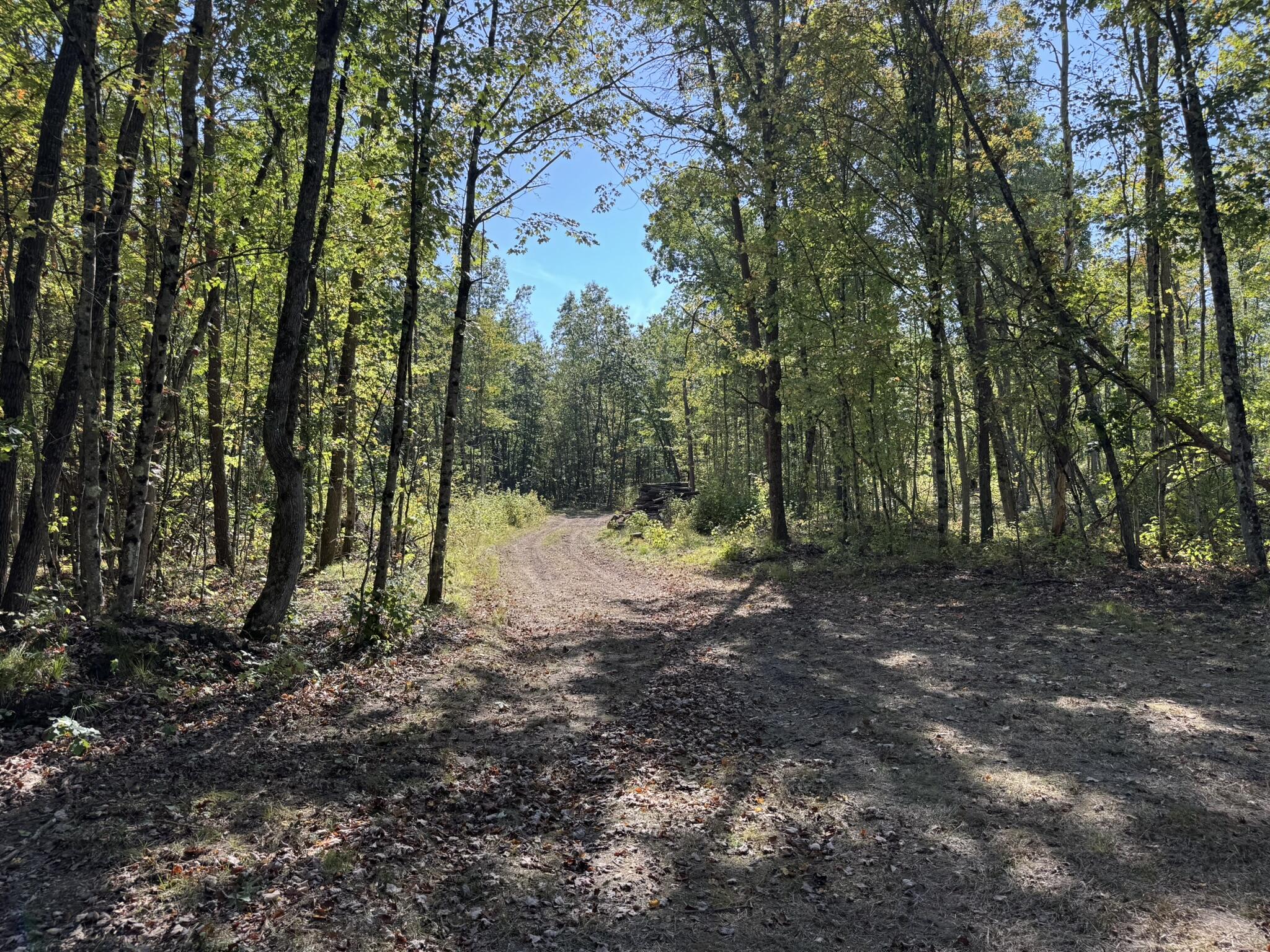 East County Line Road Manistee, MI 49660 - Photo 21 of 25 IMG_1025