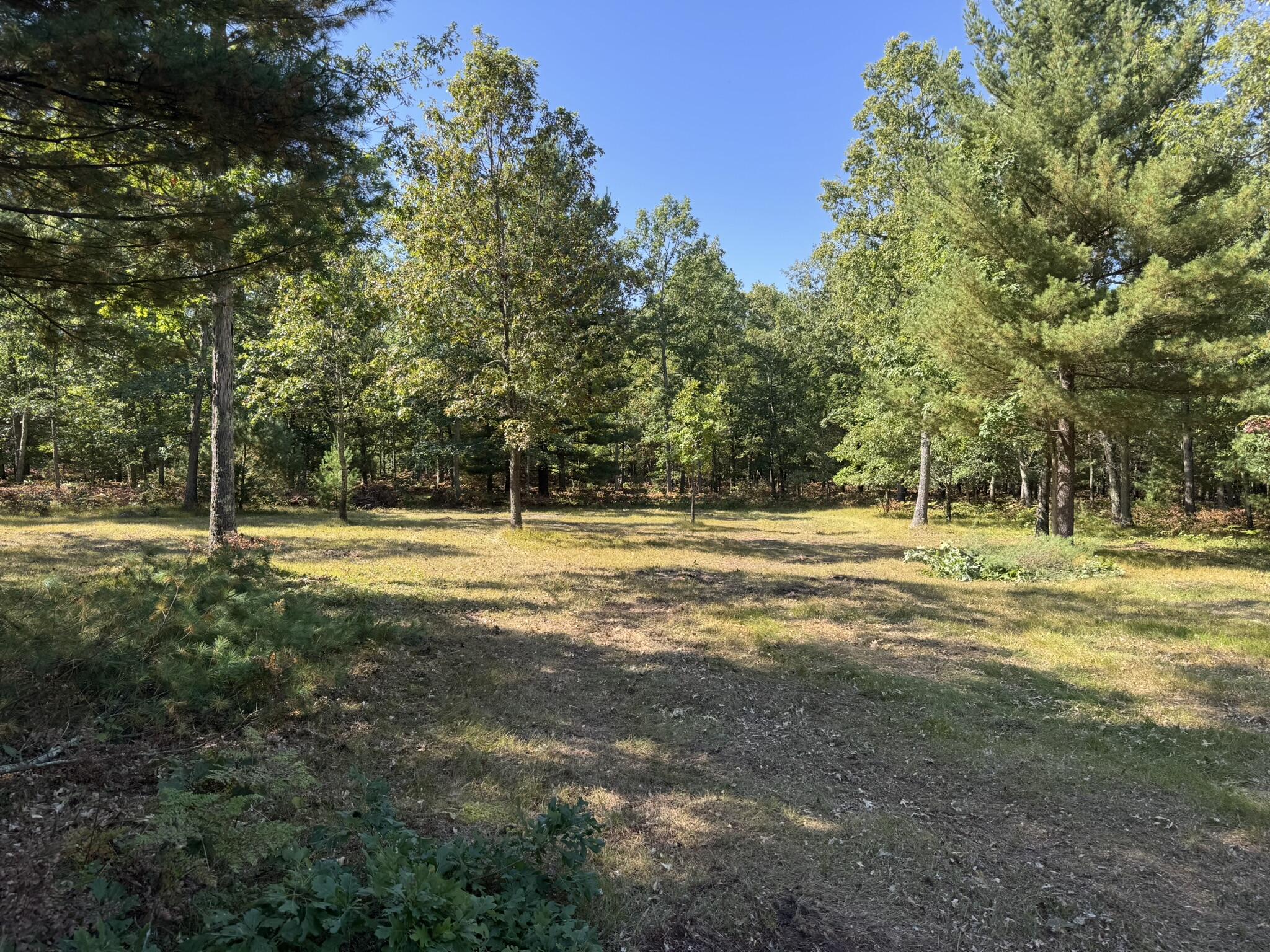 East County Line Road Manistee, MI 49660 - Photo 8 of 25 IMG_1038