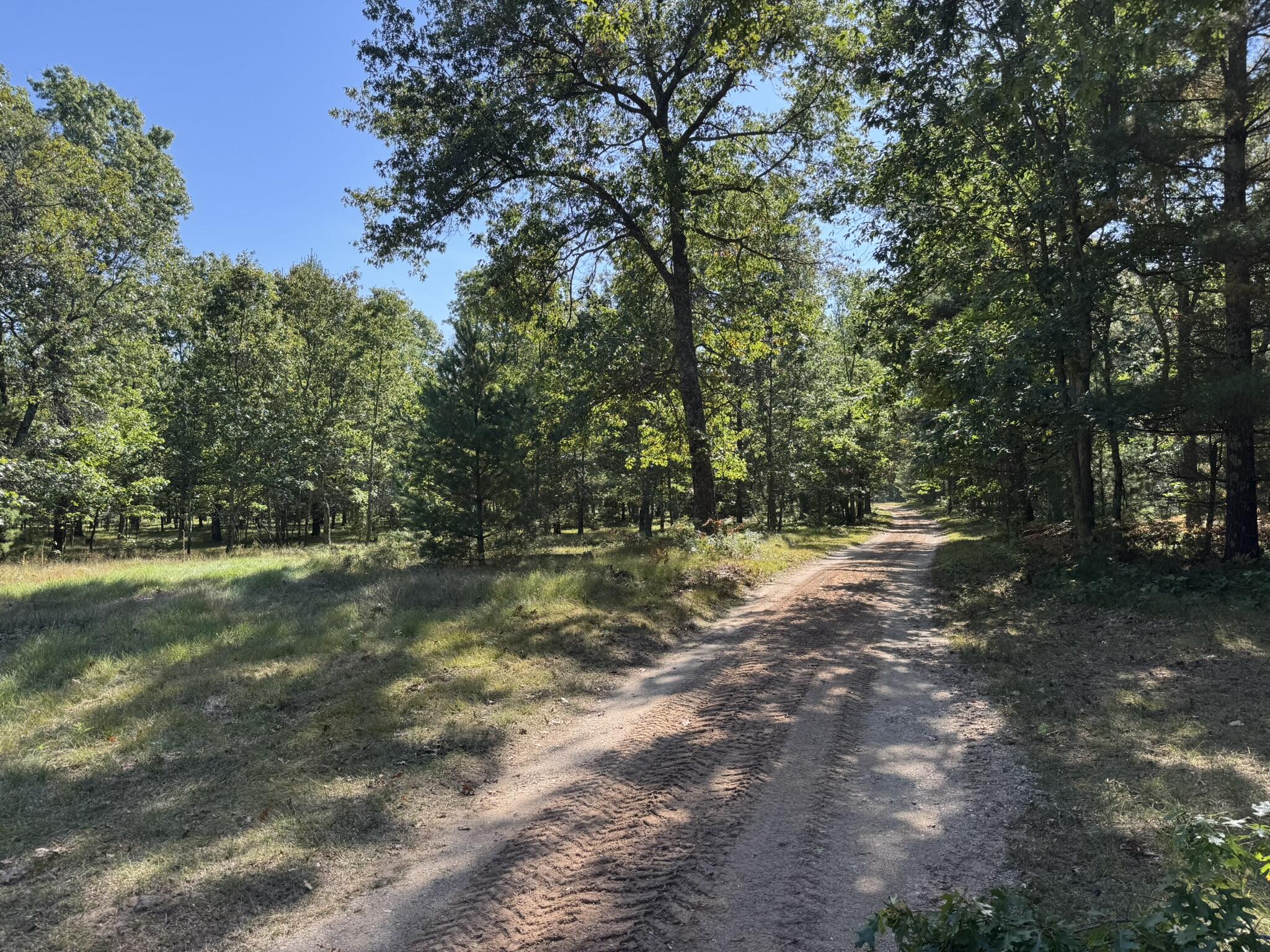 East County Line Road Manistee, MI 49660 - Photo 9 of 25 IMG_1036