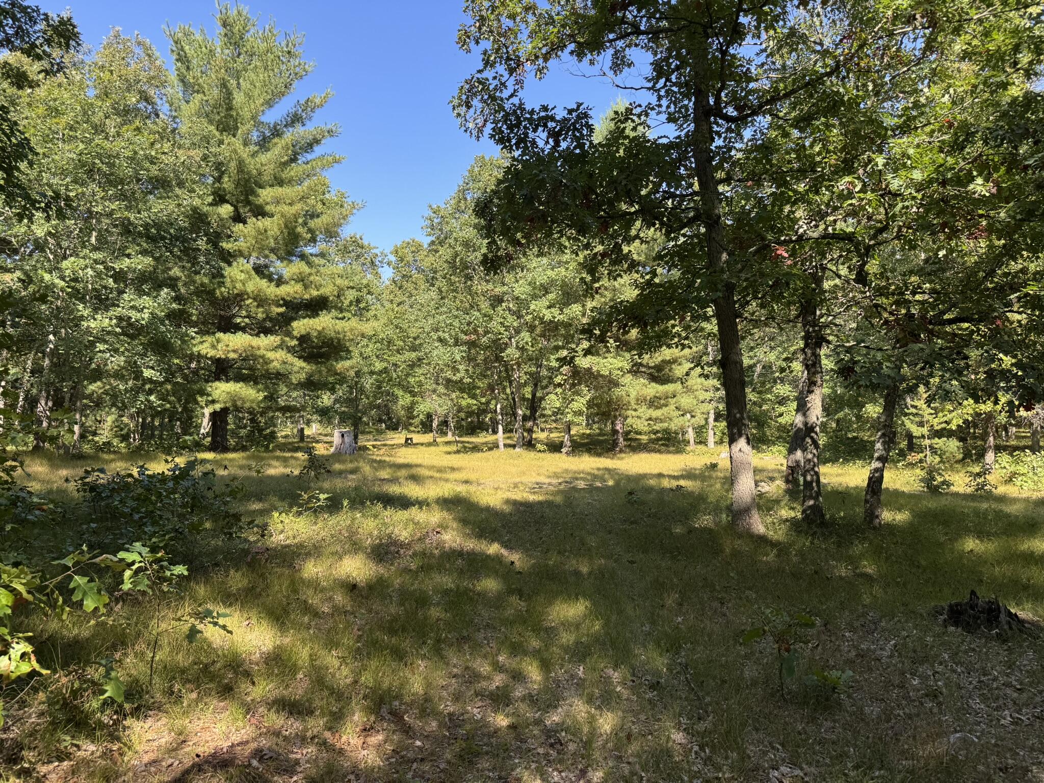 East County Line Road Manistee, MI 49660 - Photo 10 of 25 IMG_1033